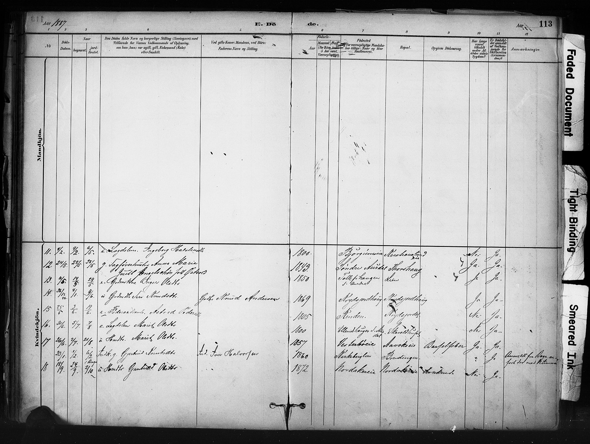Nord-Aurdal prestekontor, SAH/PREST-132/H/Ha/Haa/L0013: Parish register (official) no. 13, 1883-1895, p. 113