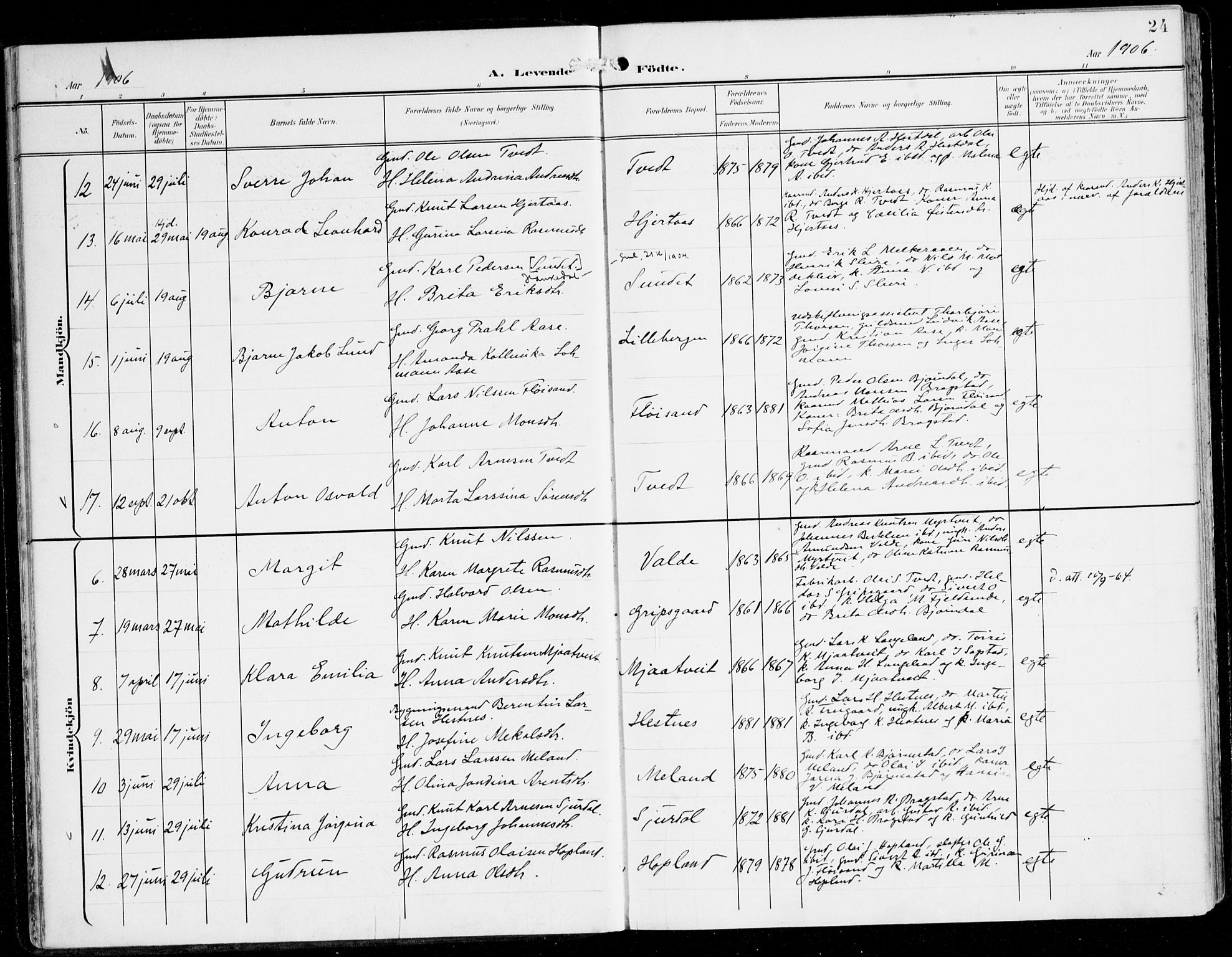 Alversund Sokneprestembete, SAB/A-73901/H/Ha/Haa/Haac/L0002: Parish register (official) no. C 2, 1901-1921, p. 24