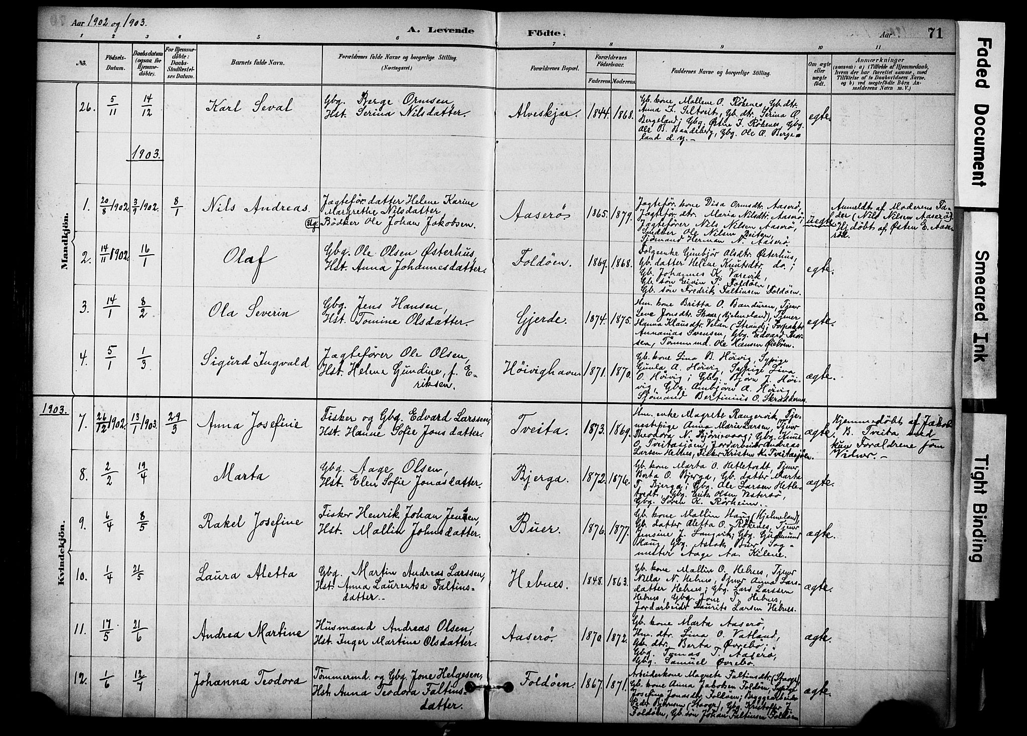 Jelsa sokneprestkontor, AV/SAST-A-101842/01/IV: Parish register (official) no. A 10, 1884-1906, p. 71