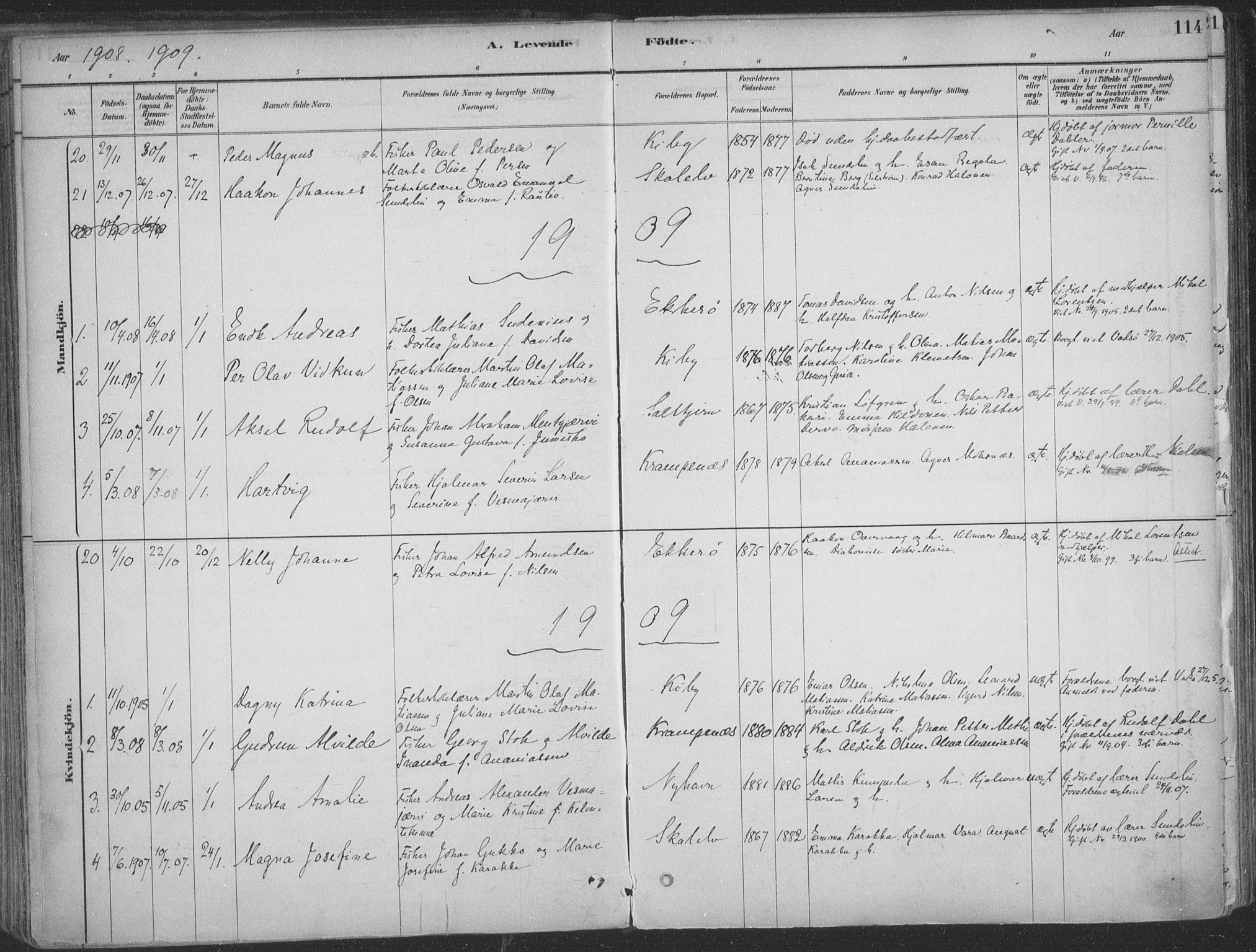 Vadsø sokneprestkontor, SATØ/S-1325/H/Ha/L0009kirke: Parish register (official) no. 9, 1881-1917, p. 114