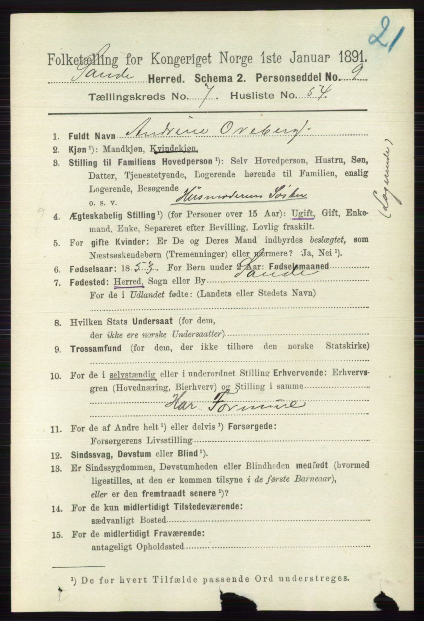 RA, 1891 census for 0713 Sande, 1891, p. 3462