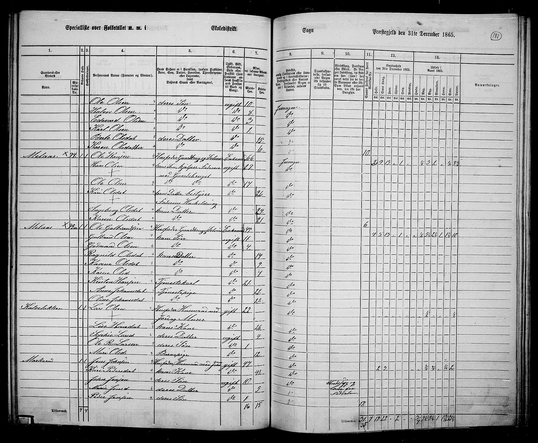 RA, 1865 census for Jevnaker, 1865, p. 167