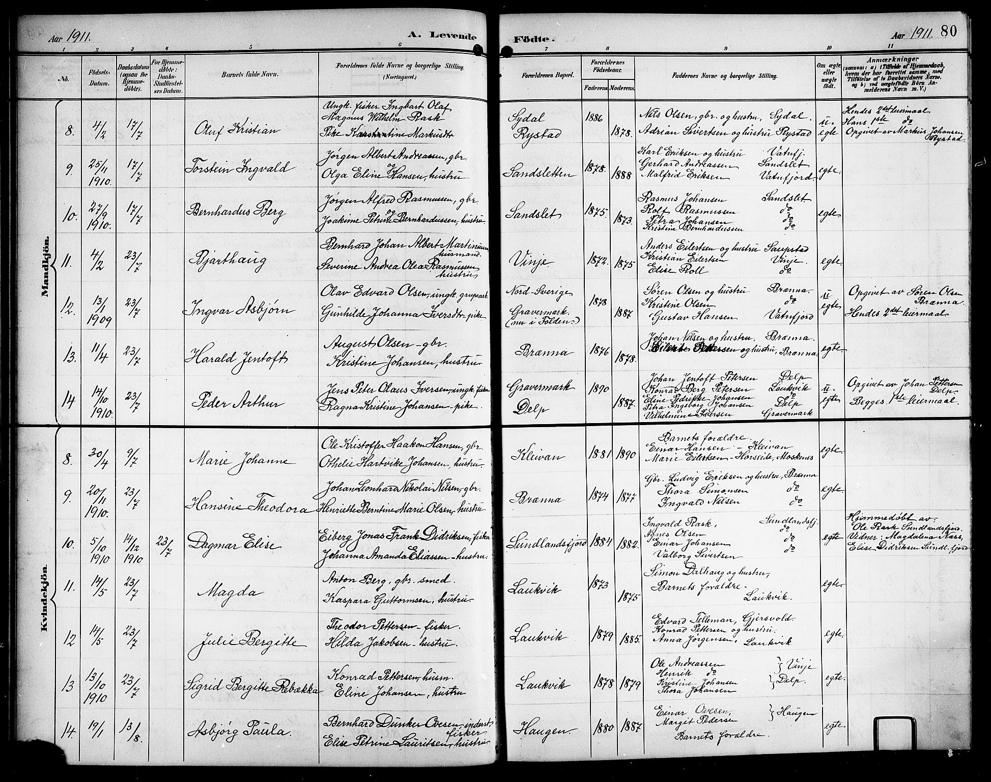 Ministerialprotokoller, klokkerbøker og fødselsregistre - Nordland, AV/SAT-A-1459/876/L1105: Parish register (copy) no. 876C04, 1896-1914, p. 80