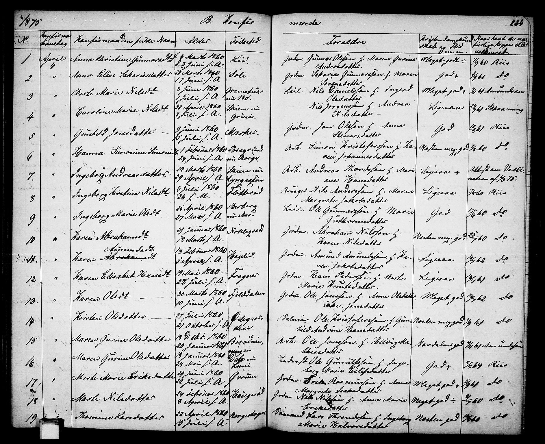 Gjerpen kirkebøker, SAKO/A-265/G/Ga/L0001: Parish register (copy) no. I 1, 1864-1882, p. 234