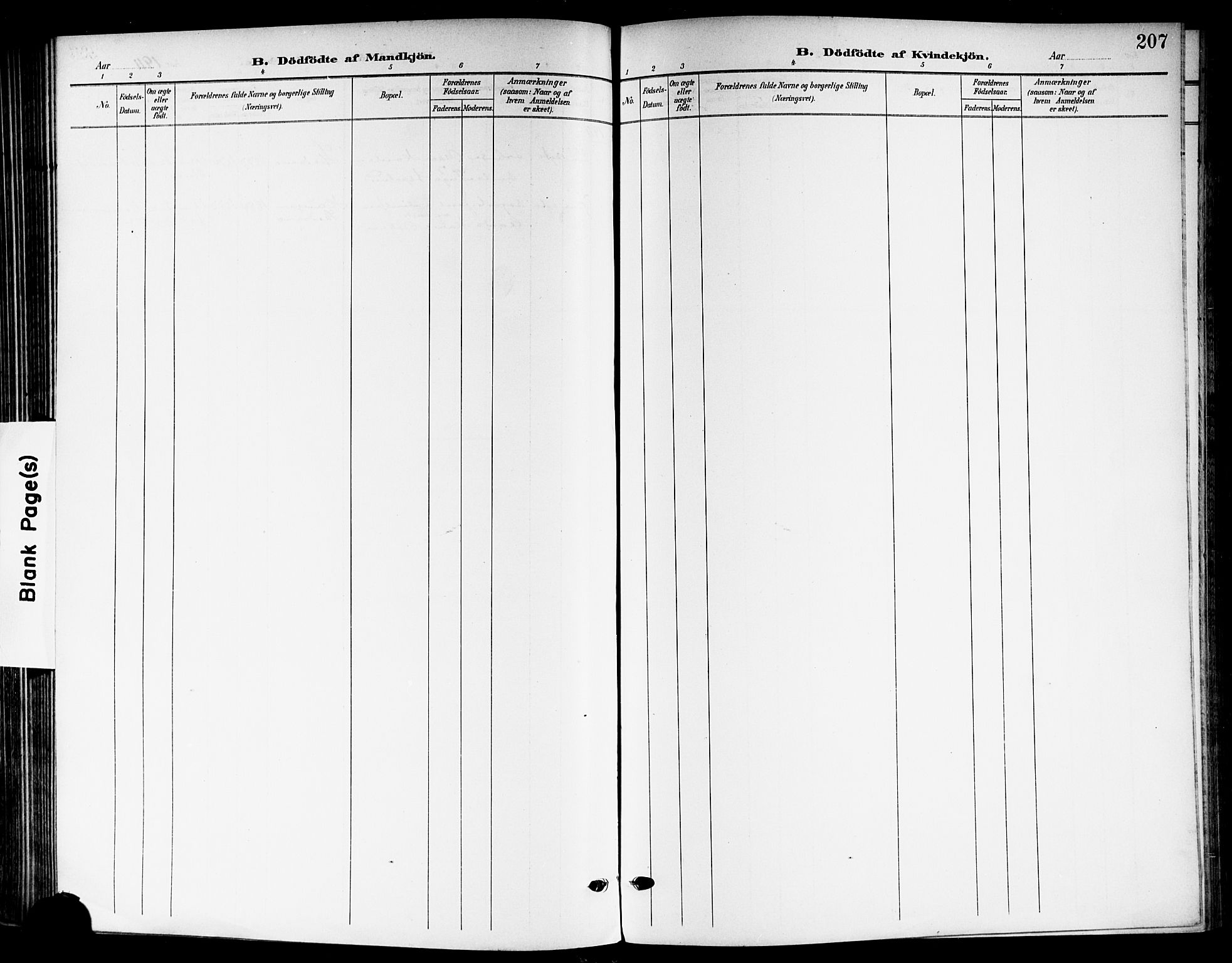 Skedsmo prestekontor Kirkebøker, AV/SAO-A-10033a/G/Ga/L0005b: Parish register (copy) no. I 5B, 1902-1911, p. 207