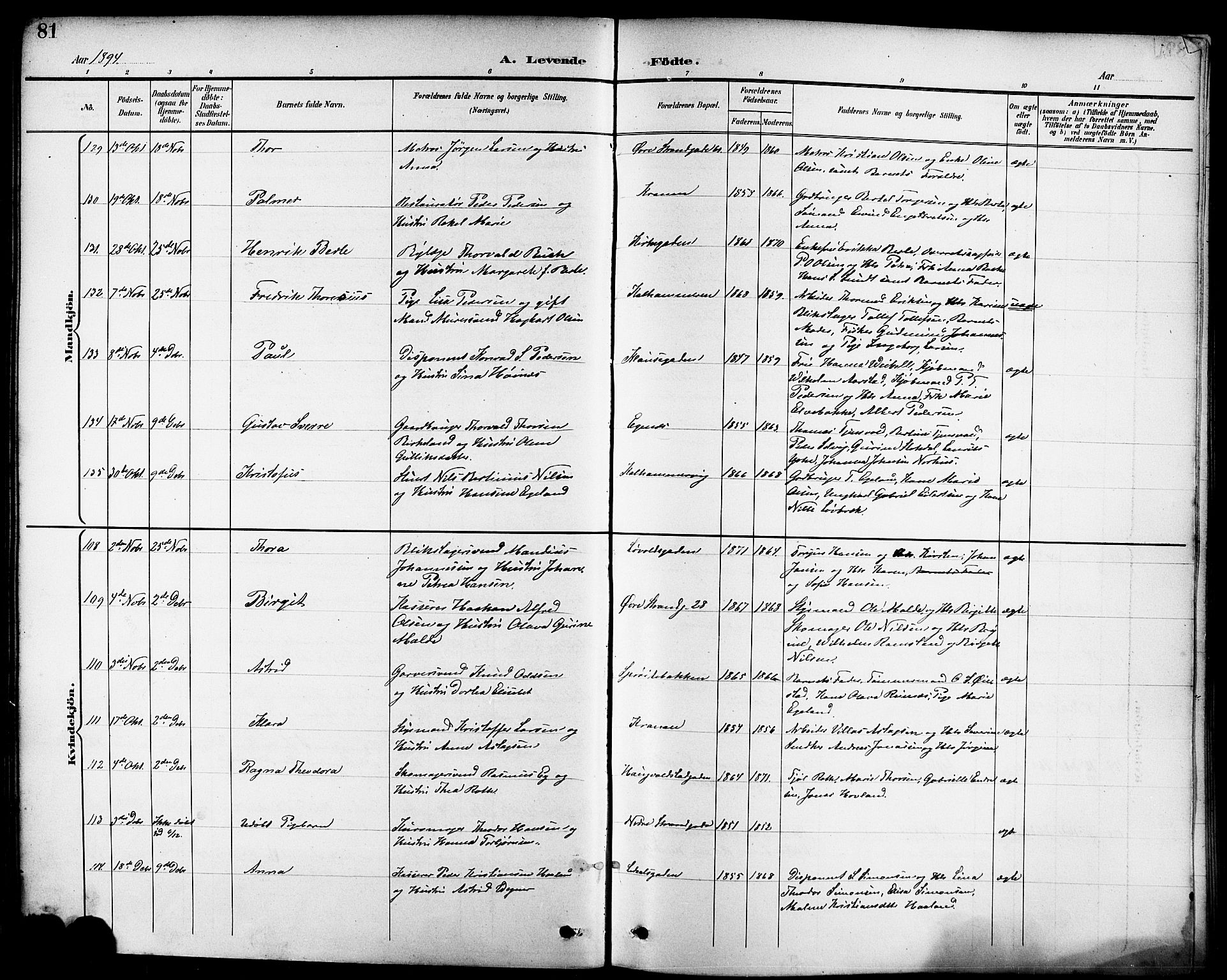 Domkirken sokneprestkontor, AV/SAST-A-101812/001/30/30BB/L0016: Parish register (copy) no. B 16, 1891-1902, p. 81