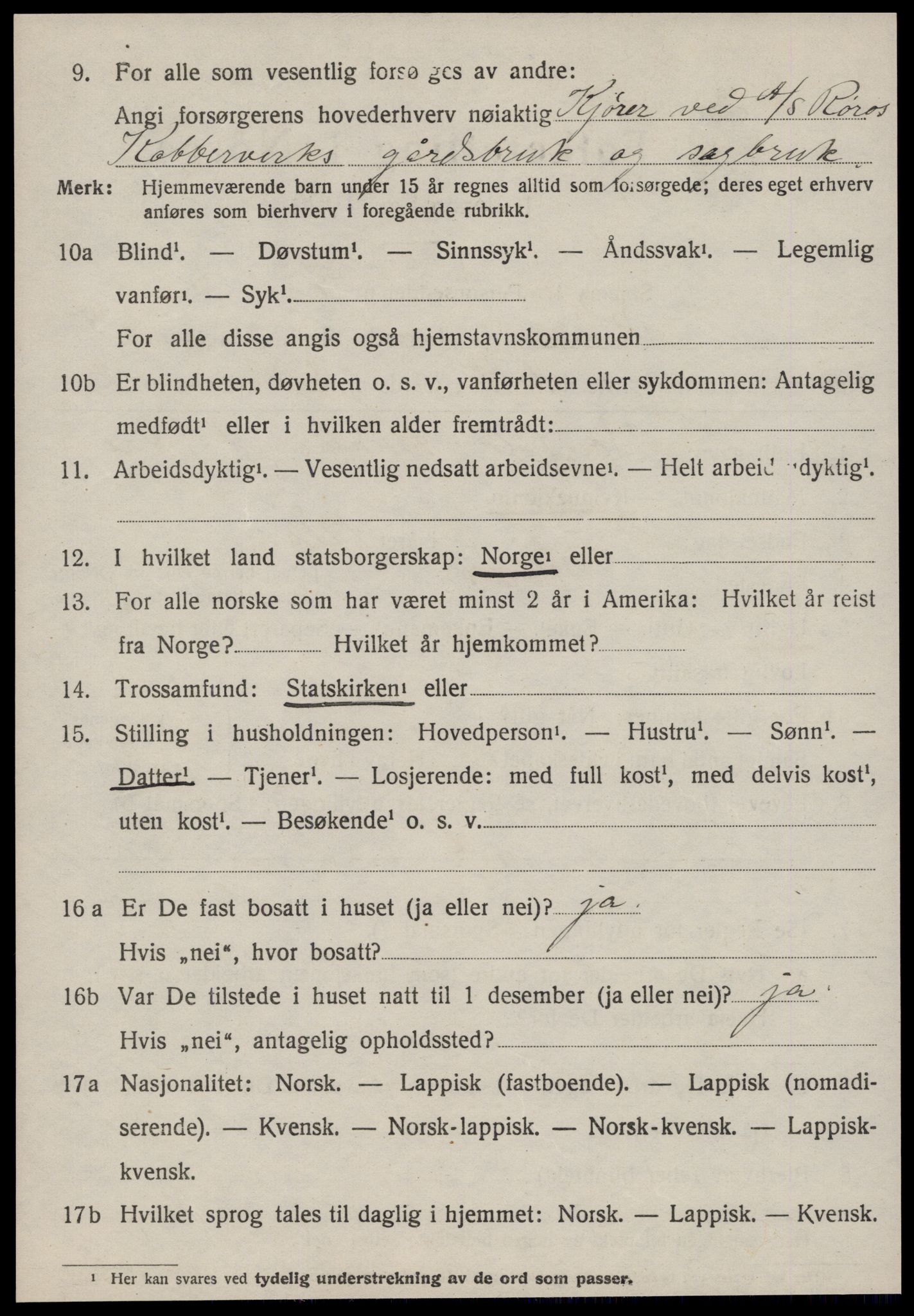 SAT, 1920 census for Røros, 1920, p. 6199