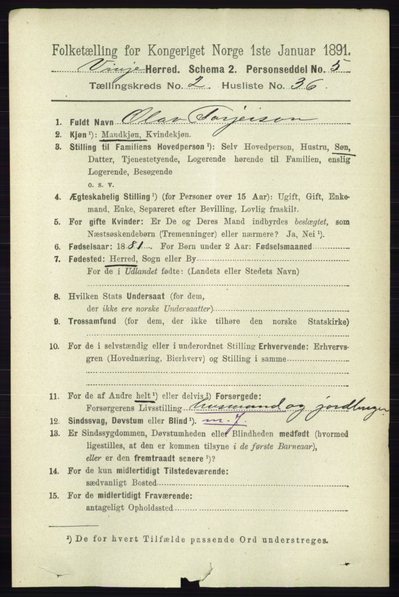 RA, 1891 census for 0834 Vinje, 1891, p. 596