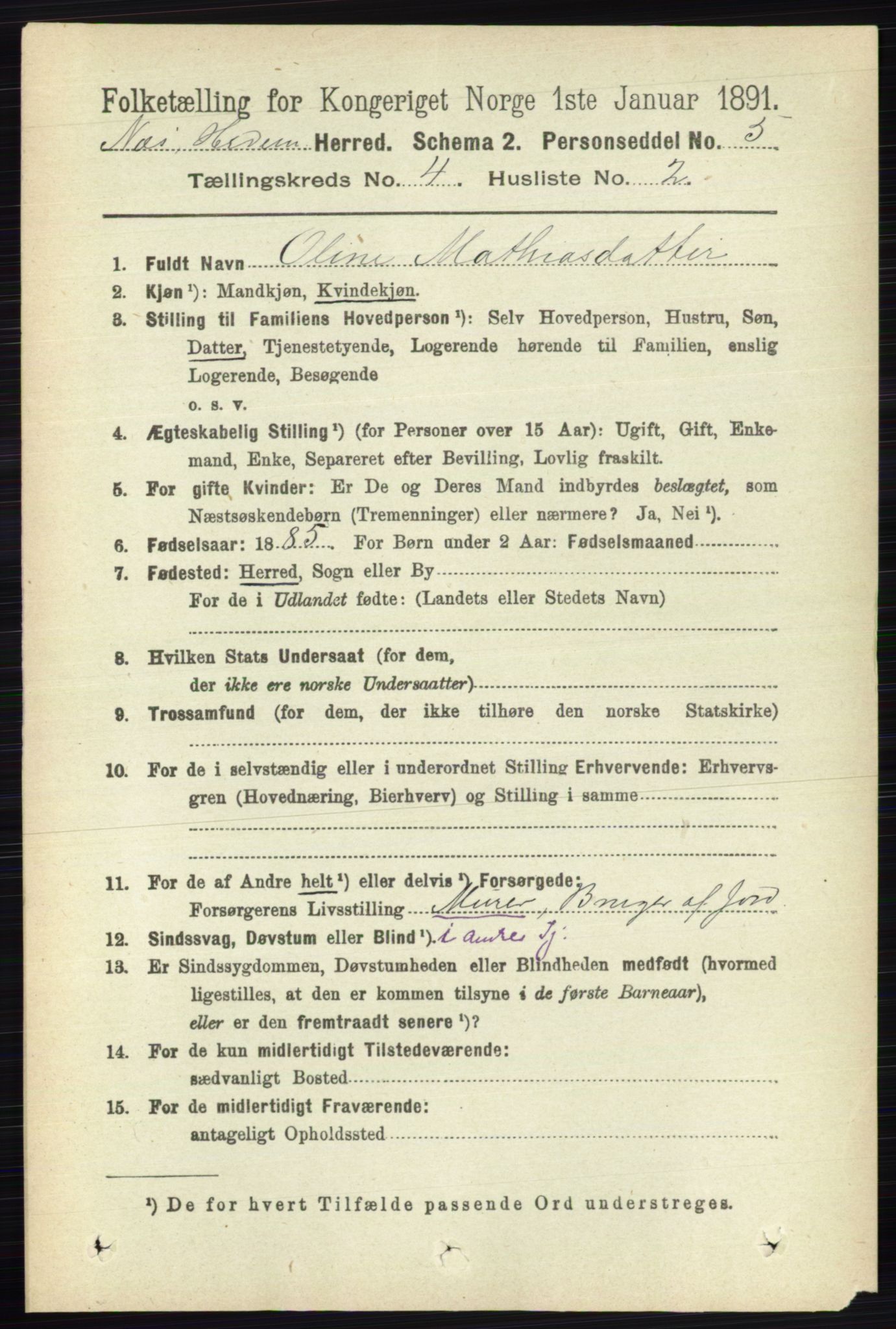 RA, 1891 census for 0411 Nes, 1891, p. 2052