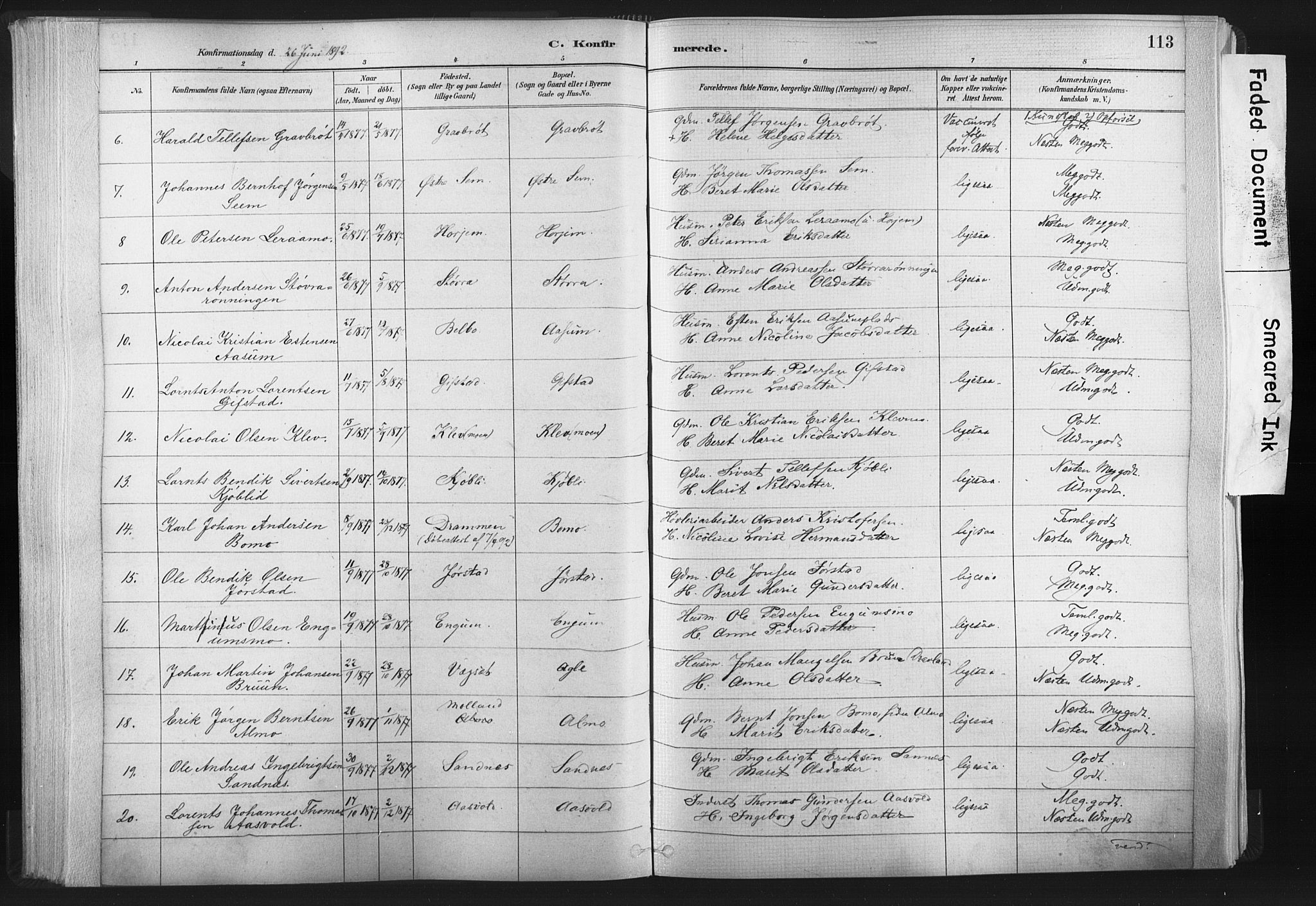 Ministerialprotokoller, klokkerbøker og fødselsregistre - Nord-Trøndelag, AV/SAT-A-1458/749/L0474: Parish register (official) no. 749A08, 1887-1903, p. 113