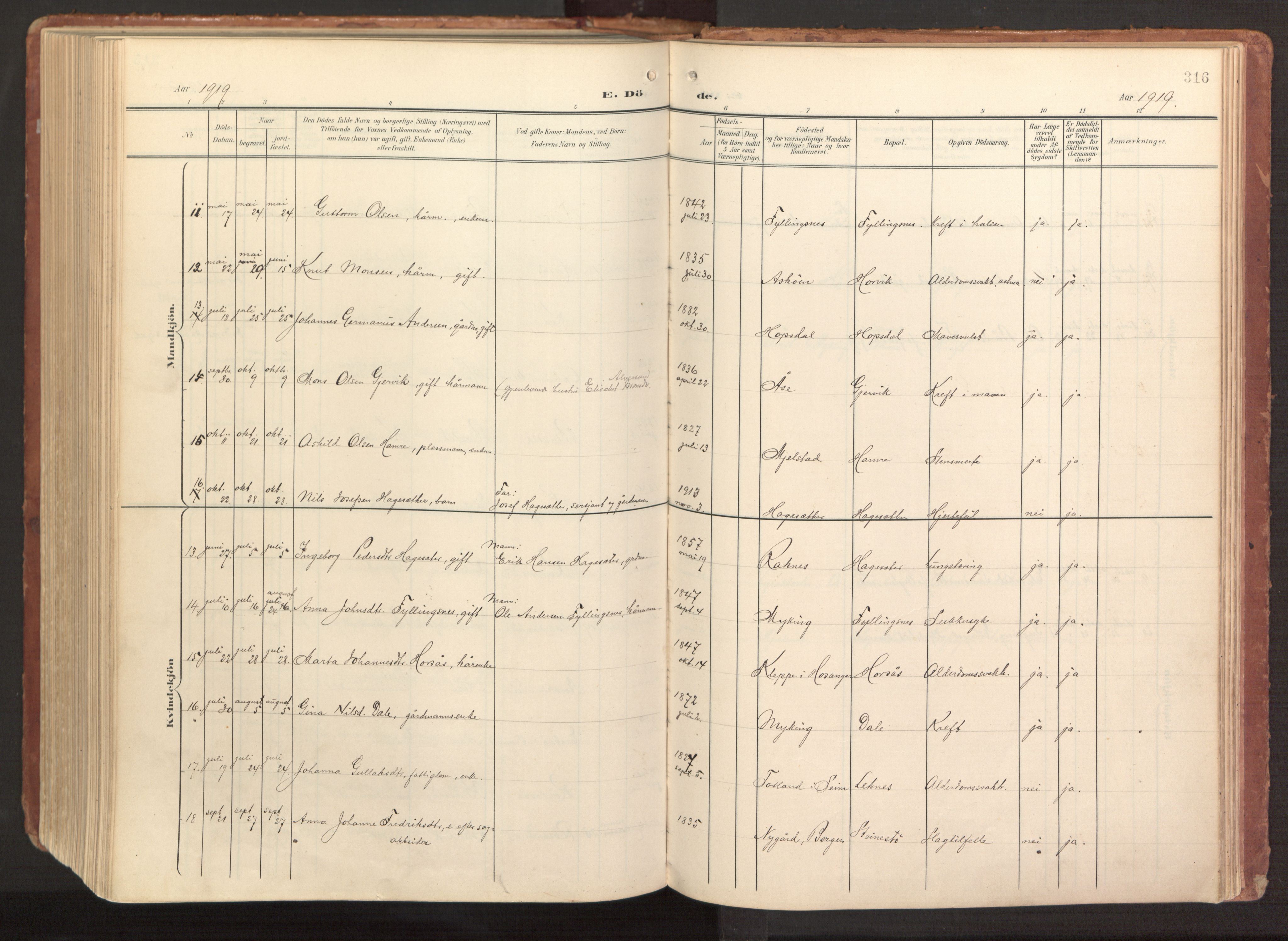 Hamre sokneprestembete, AV/SAB-A-75501/H/Ha/Haa/Haab/L0002: Parish register (official) no. B 2, 1905-1924, p. 316