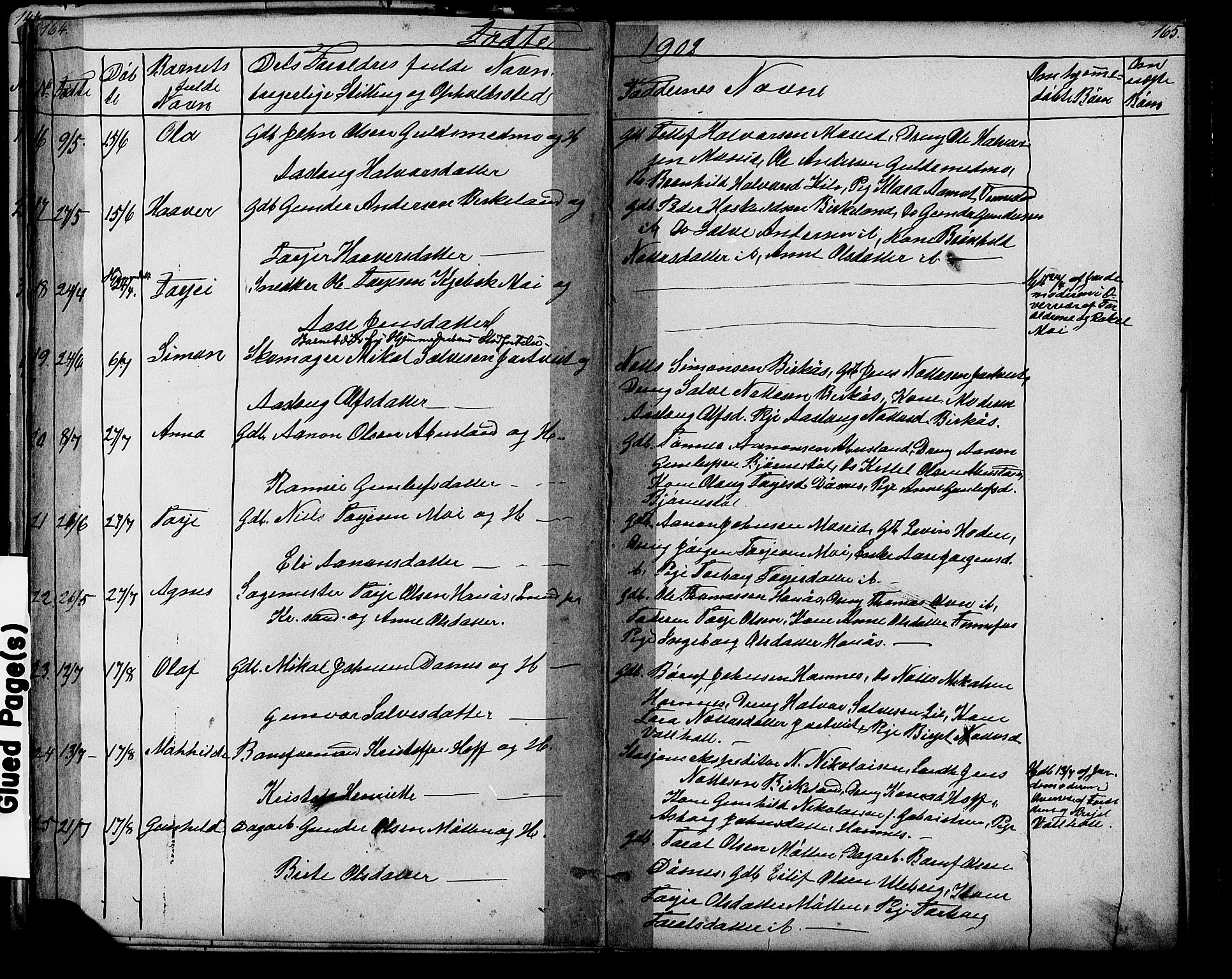 Evje sokneprestkontor, AV/SAK-1111-0008/F/Fb/Fbb/L0002: Parish register (copy) no. B 2, 1879-1909, p. 164-165