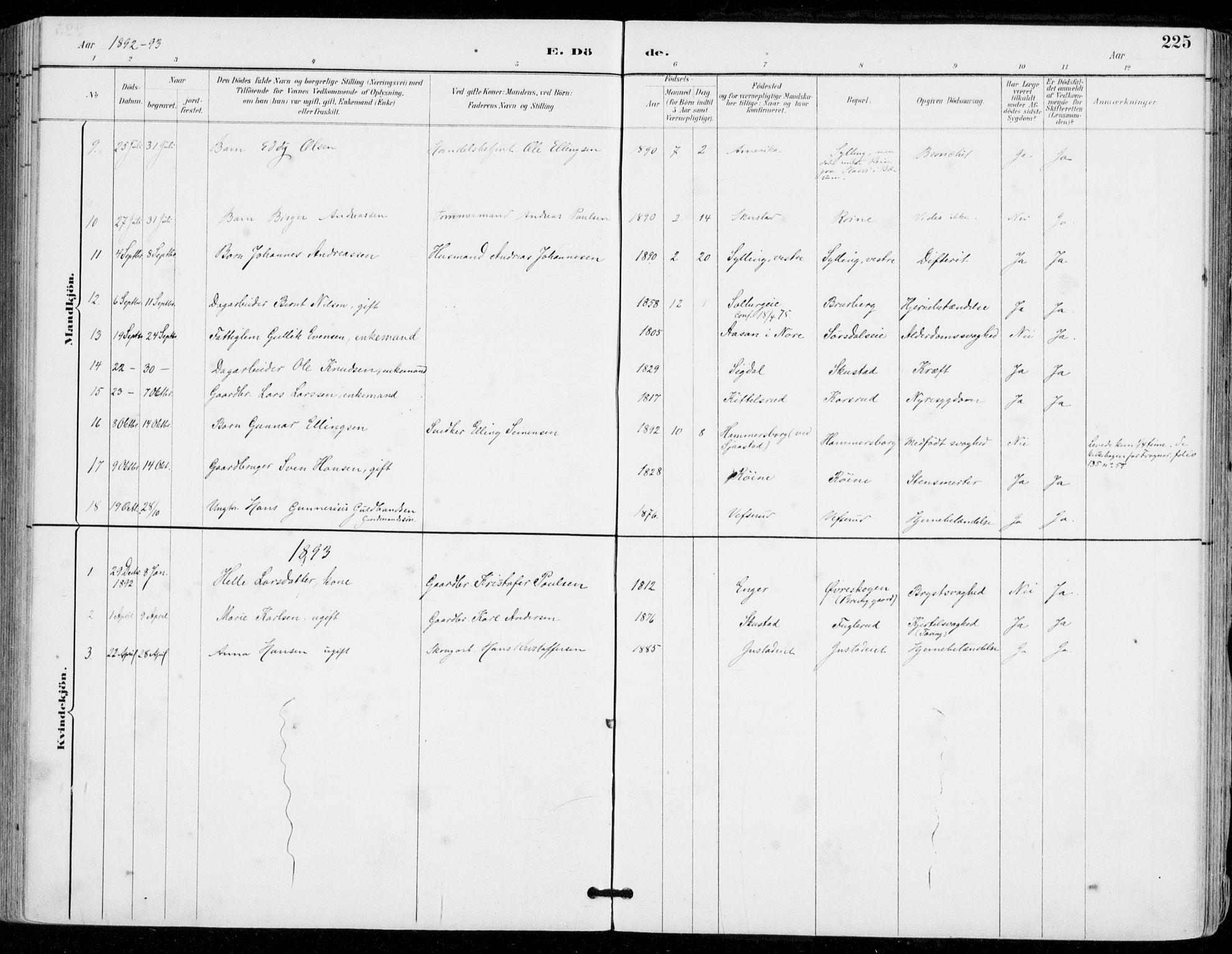 Sylling kirkebøker, SAKO/A-247/F/Fa/L0001: Parish register (official) no. 1, 1883-1910, p. 225