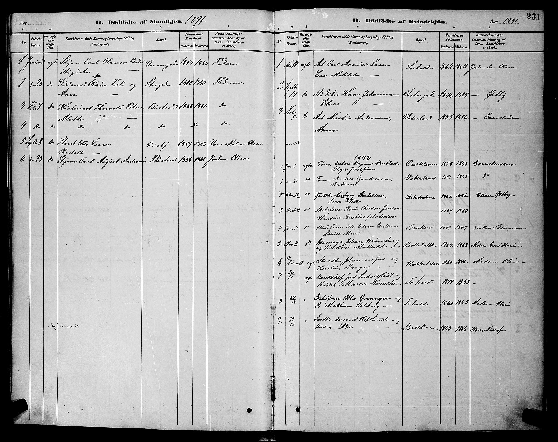 Halden prestekontor Kirkebøker, SAO/A-10909/G/Ga/L0008: Parish register (copy) no. 8, 1885-1899, p. 231