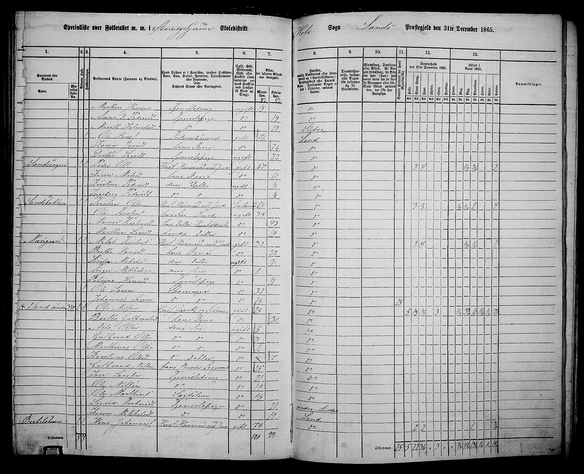 RA, 1865 census for Land, 1865, p. 380