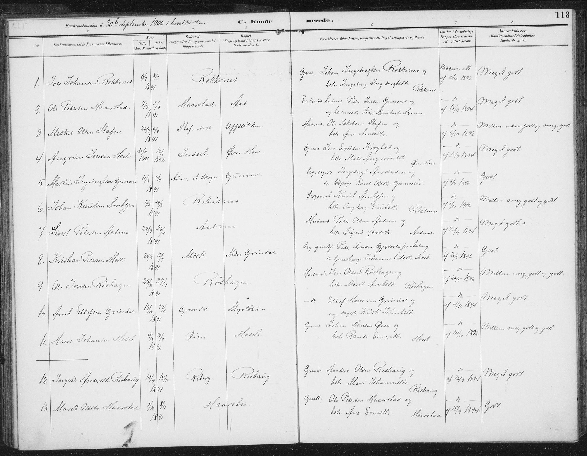 Ministerialprotokoller, klokkerbøker og fødselsregistre - Sør-Trøndelag, SAT/A-1456/674/L0872: Parish register (official) no. 674A04, 1897-1907, p. 113