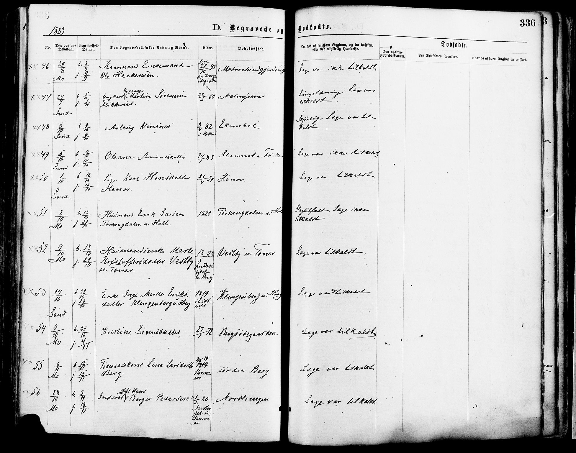 Nord-Odal prestekontor, AV/SAH-PREST-032/H/Ha/Haa/L0005: Parish register (official) no. 5, 1874-1885, p. 336