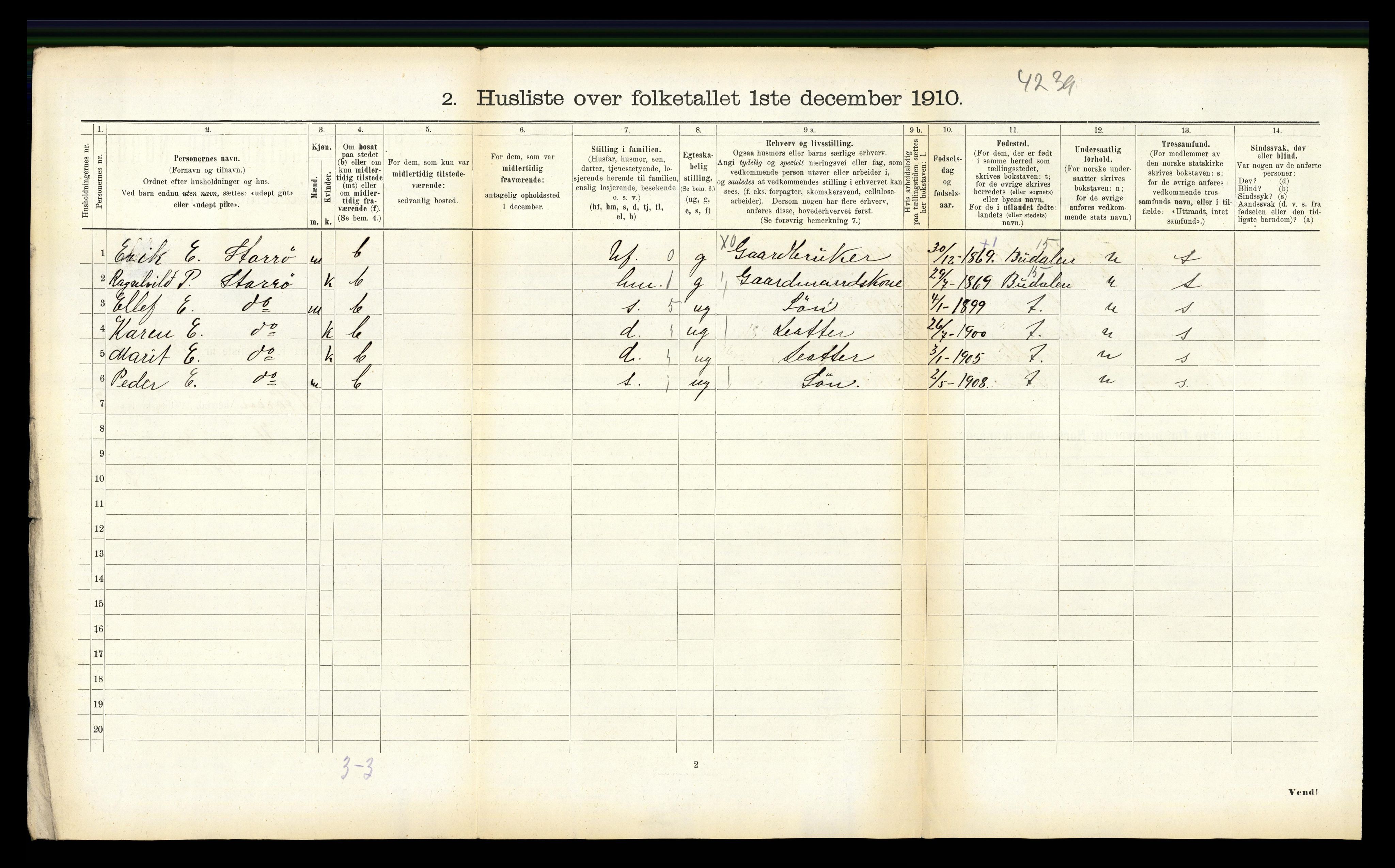 RA, 1910 census for Støren, 1910, p. 229