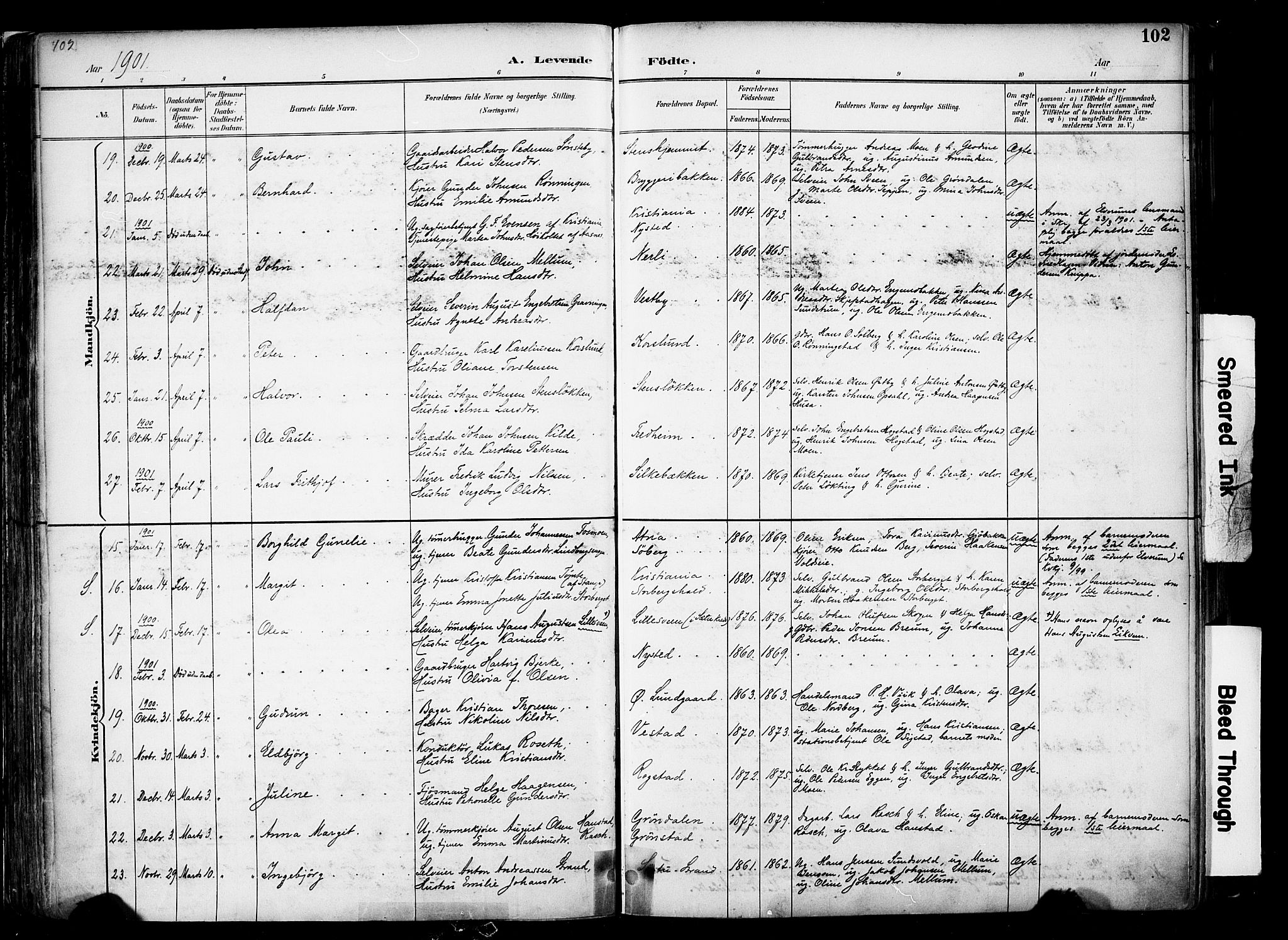 Elverum prestekontor, SAH/PREST-044/H/Ha/Haa/L0014: Parish register (official) no. 14, 1891-1909, p. 102
