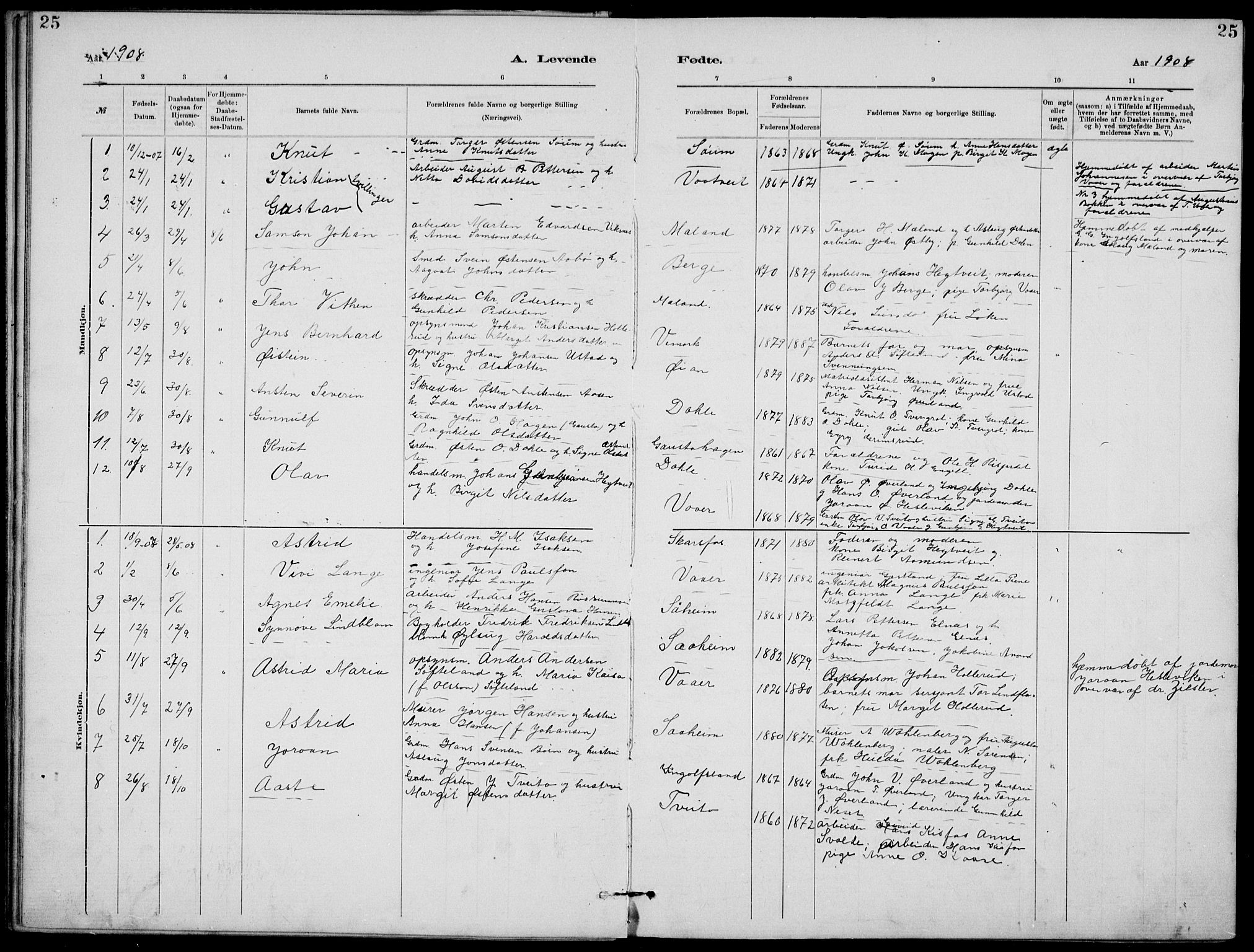 Rjukan kirkebøker, AV/SAKO-A-294/G/Ga/L0001: Parish register (copy) no. 1, 1880-1914, p. 25
