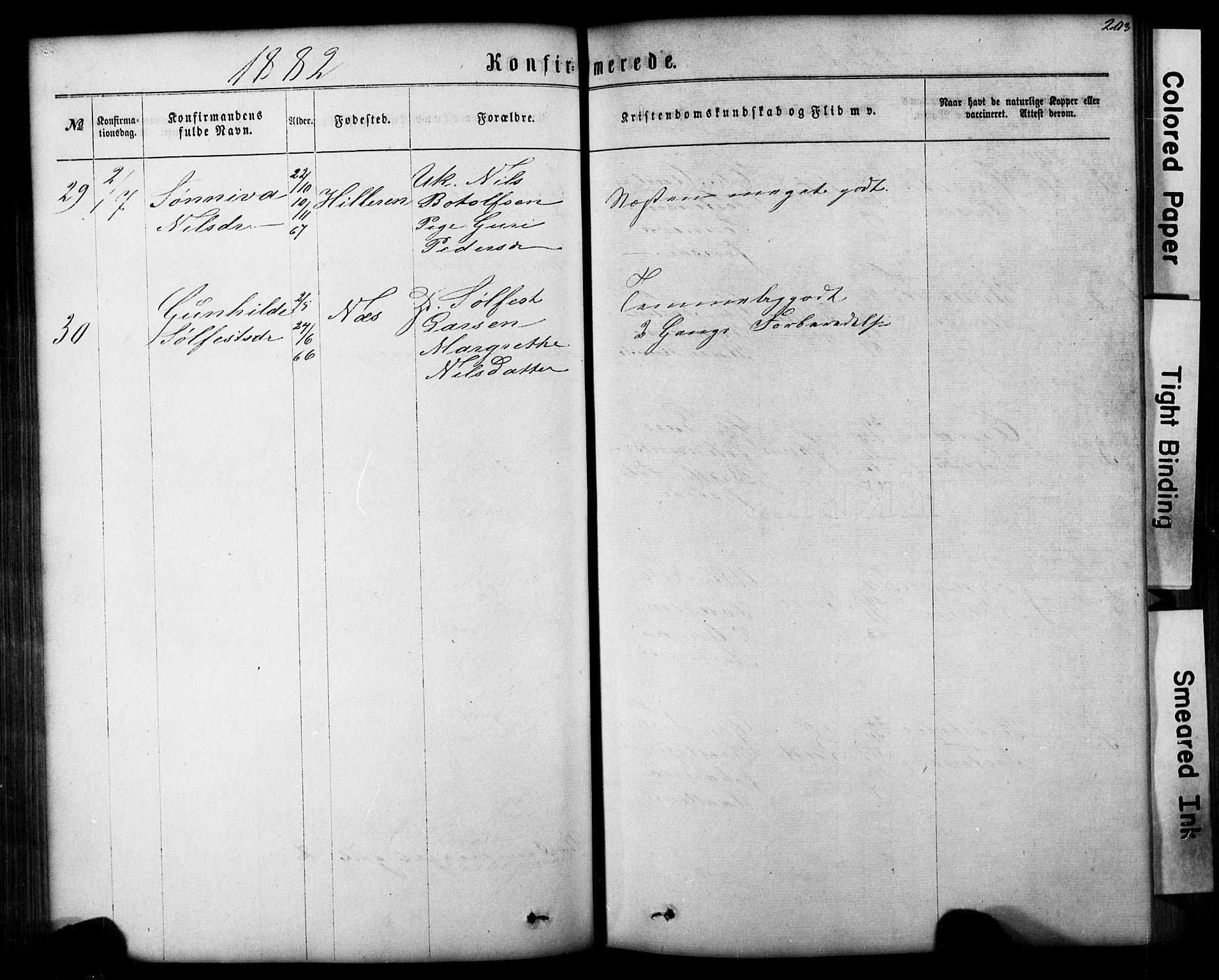 Hafslo sokneprestembete, SAB/A-80301/H/Hab/Haba/L0001: Parish register (copy) no. A 1, 1866-1908, p. 203