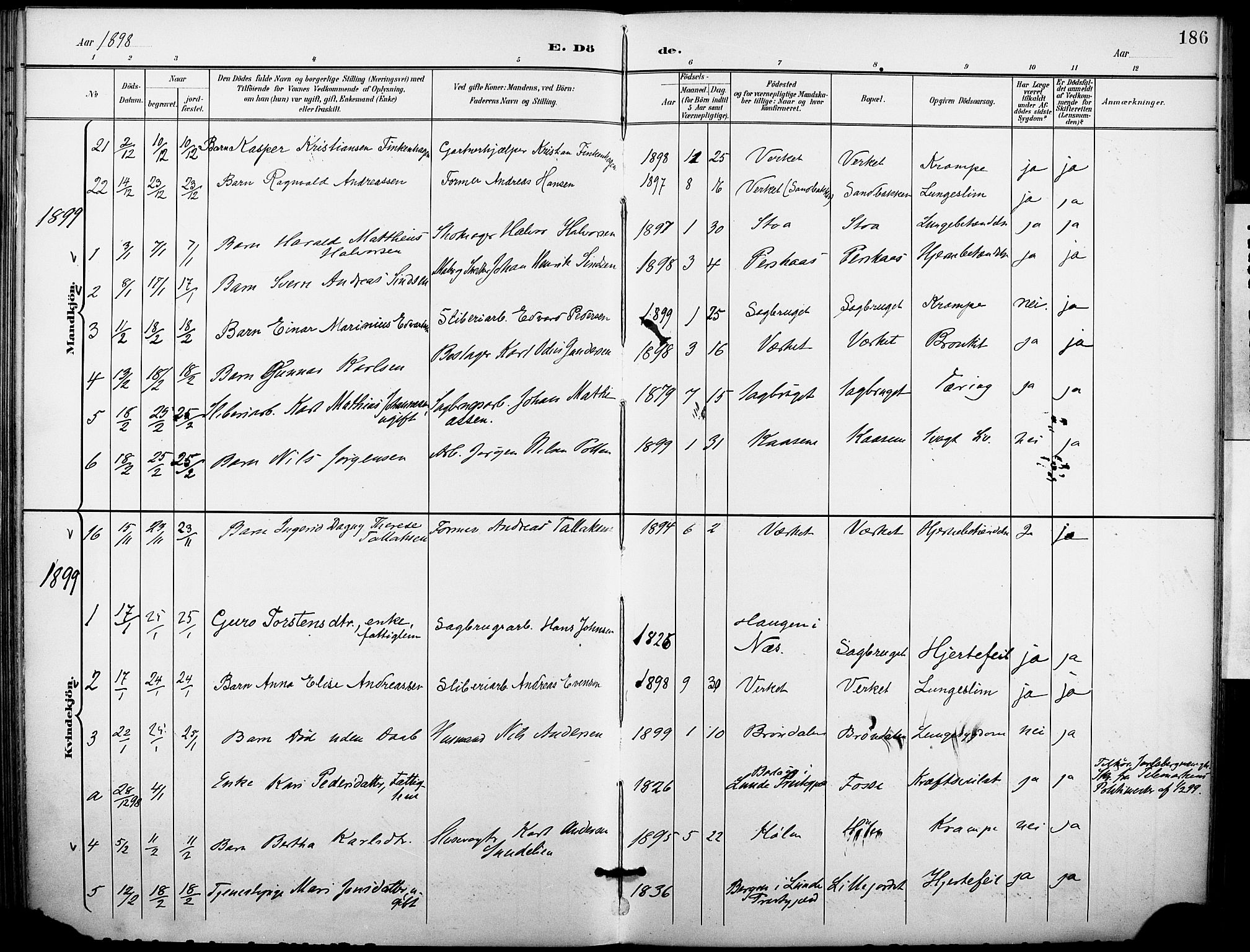 Holla kirkebøker, SAKO/A-272/F/Fa/L0010: Parish register (official) no. 10, 1897-1907, p. 186