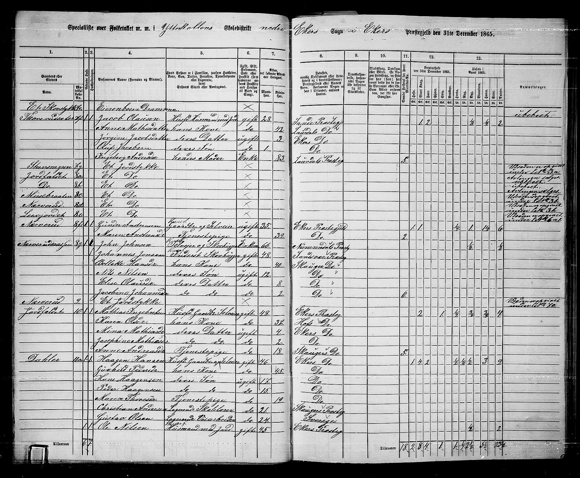 RA, 1865 census for Eiker, 1865, p. 286