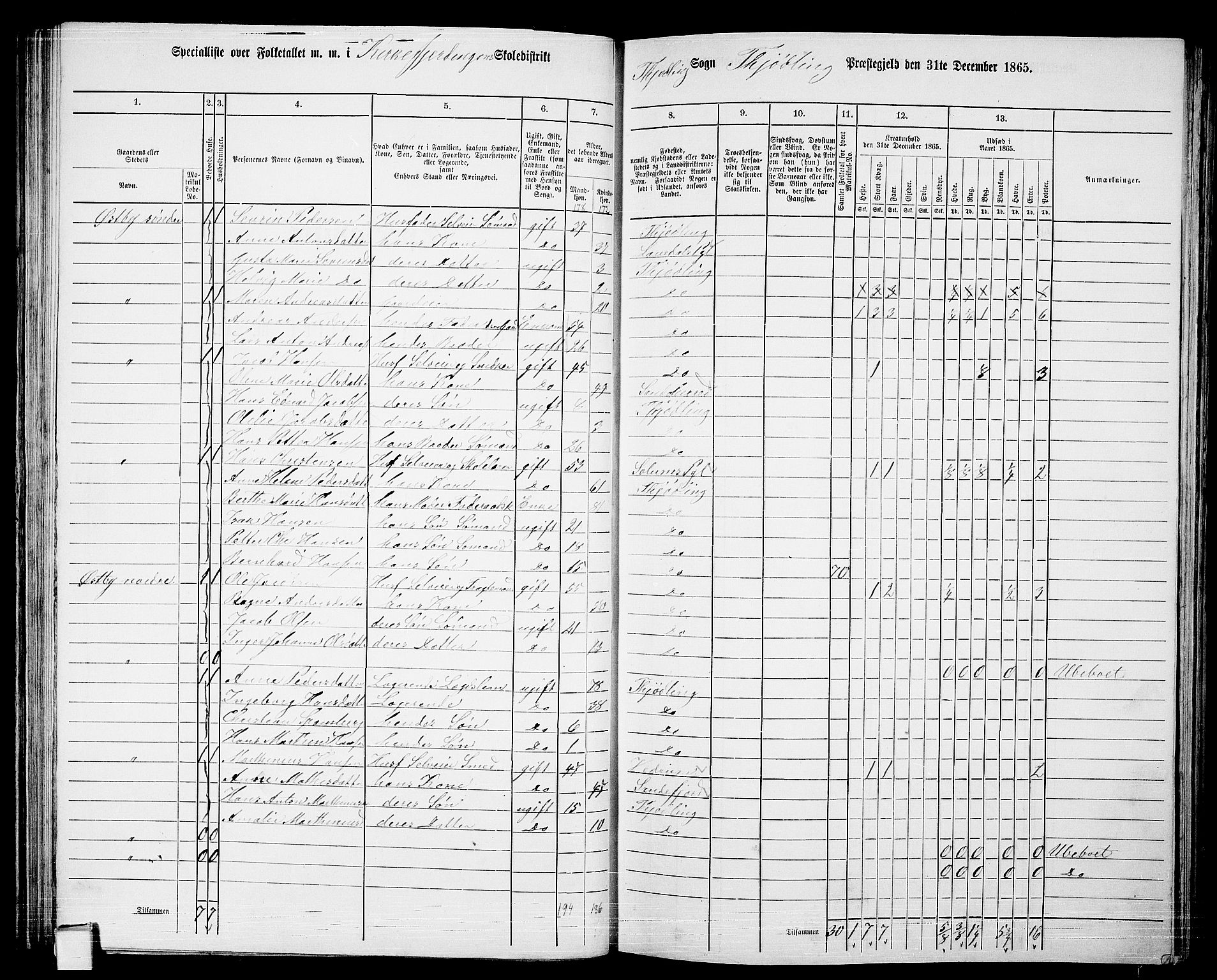 RA, 1865 census for Tjølling, 1865, p. 68