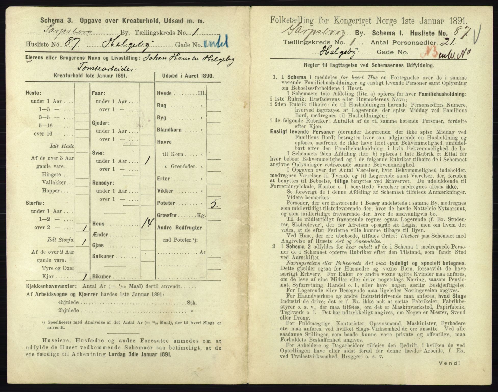 RA, 1891 census for 0102 Sarpsborg, 1891, p. 197