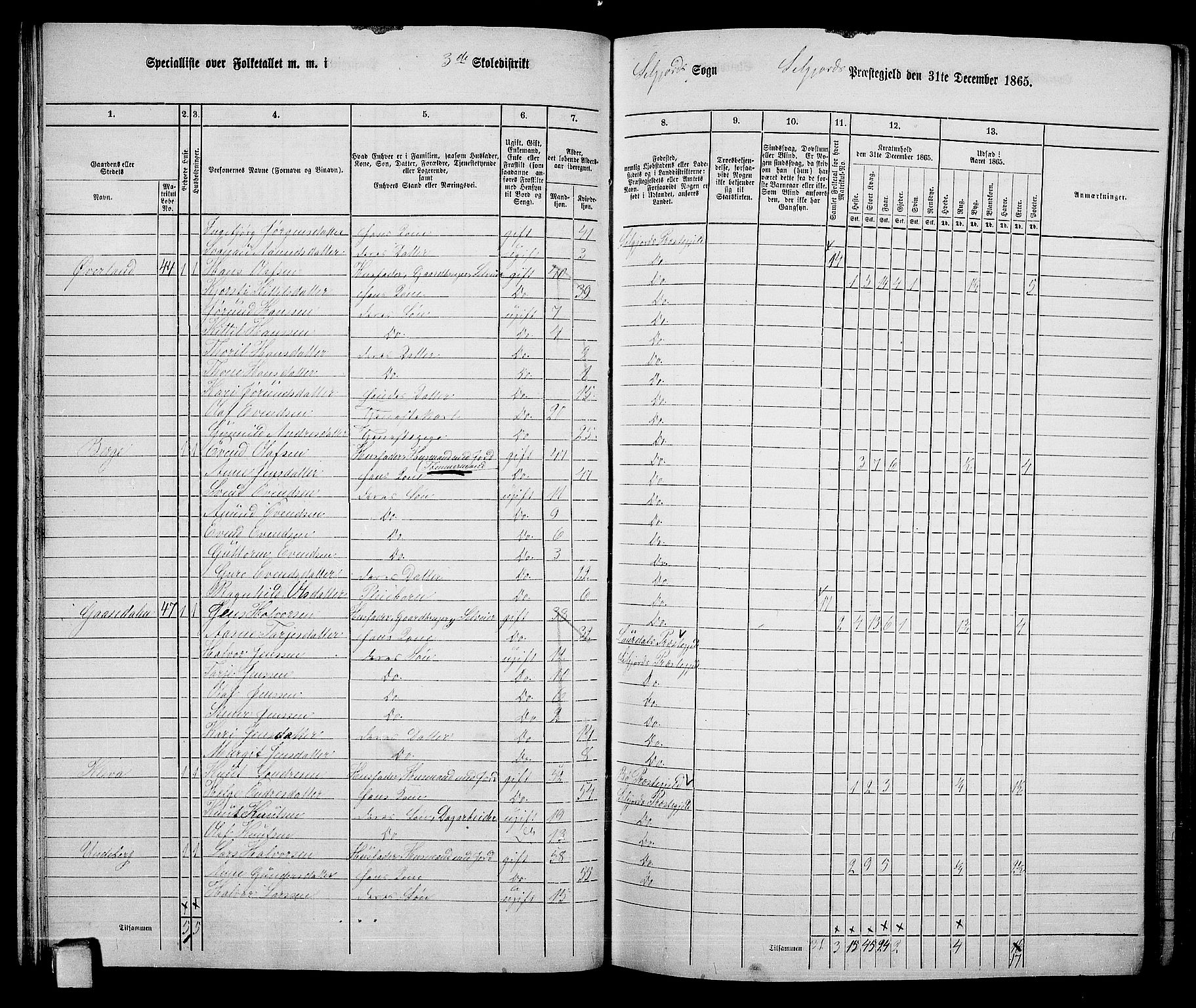 RA, 1865 census for Seljord, 1865, p. 49