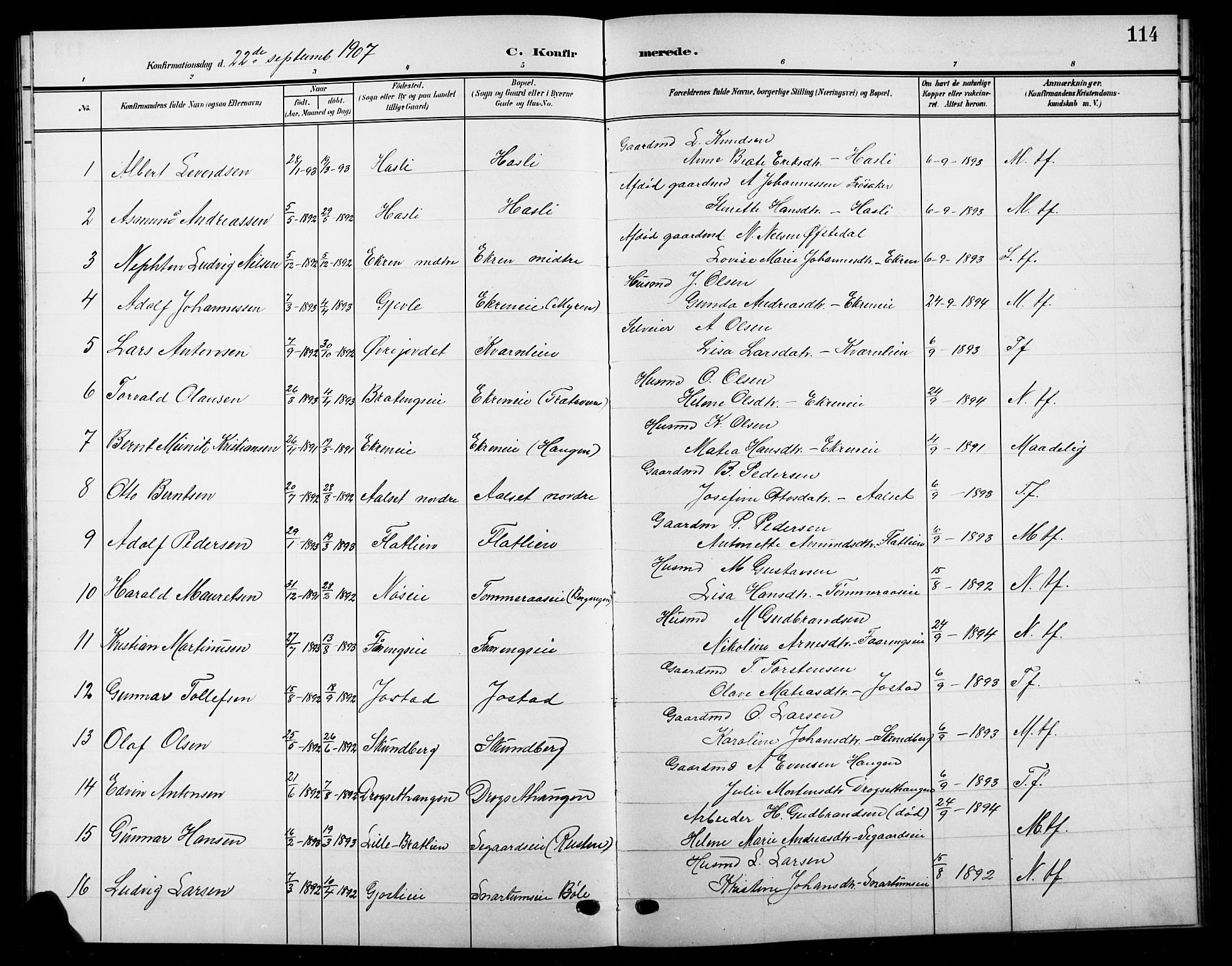 Biri prestekontor, SAH/PREST-096/H/Ha/Hab/L0005: Parish register (copy) no. 5, 1906-1919, p. 114