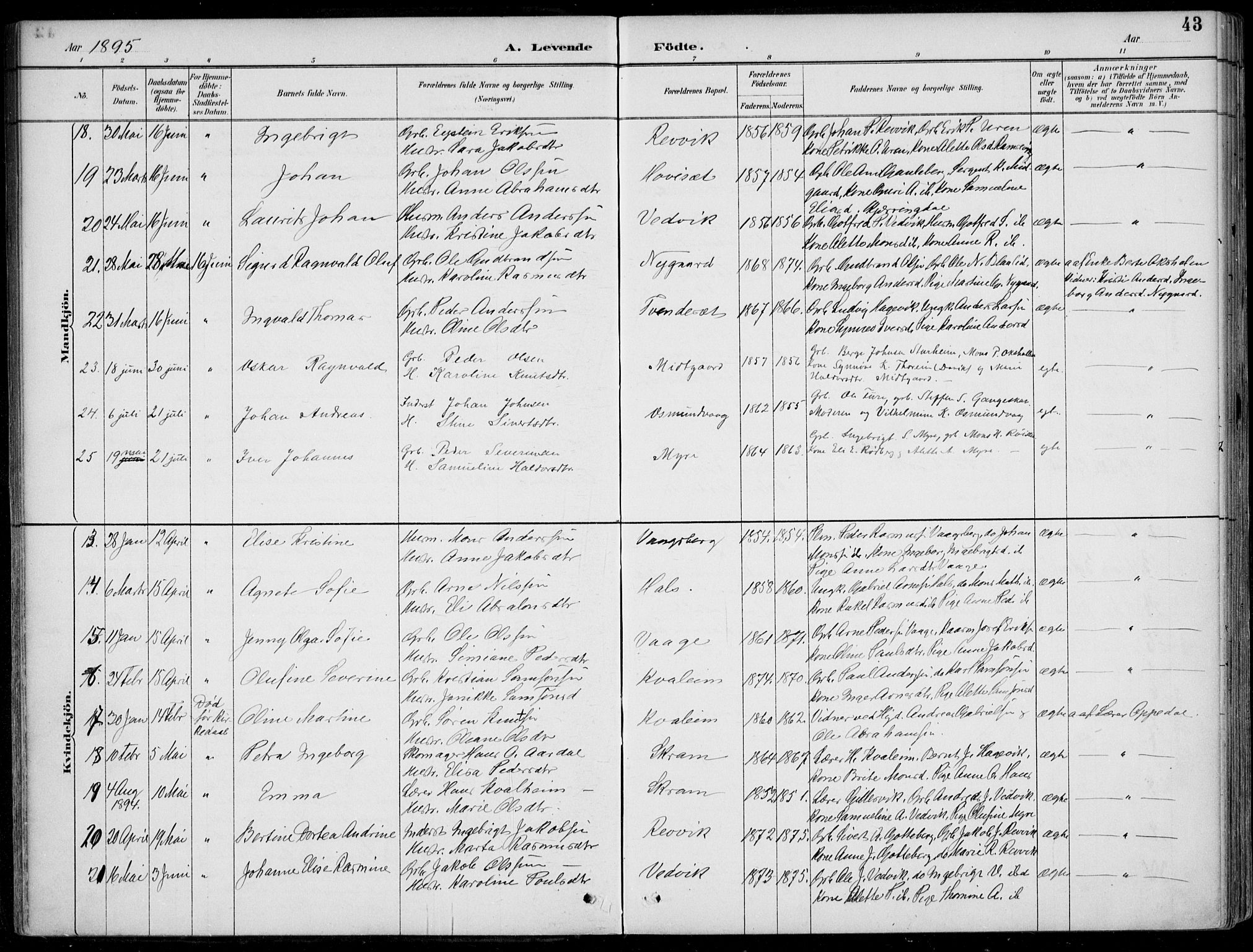 Selje sokneprestembete, AV/SAB-A-99938/H/Ha/Haa/Haac/L0002: Parish register (official) no. C  2, 1889-1904, p. 43