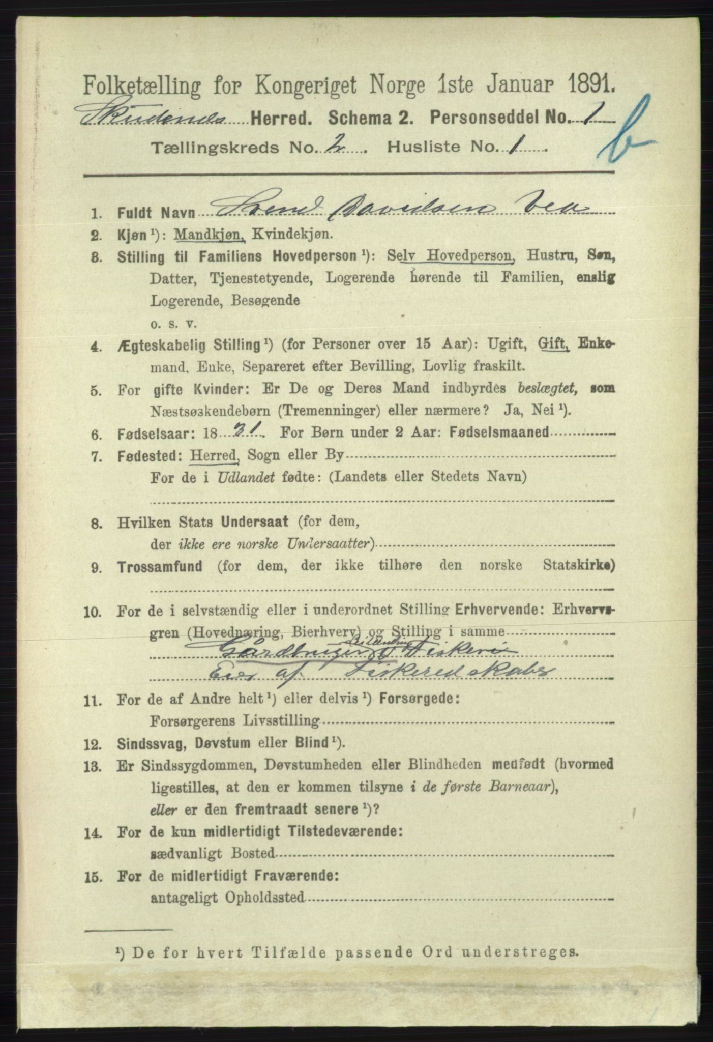 RA, 1891 census for 1150 Skudenes, 1891, p. 3709