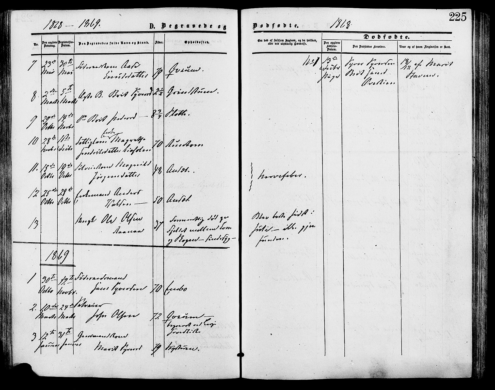 Lesja prestekontor, SAH/PREST-068/H/Ha/Haa/L0009: Parish register (official) no. 9, 1854-1889, p. 225