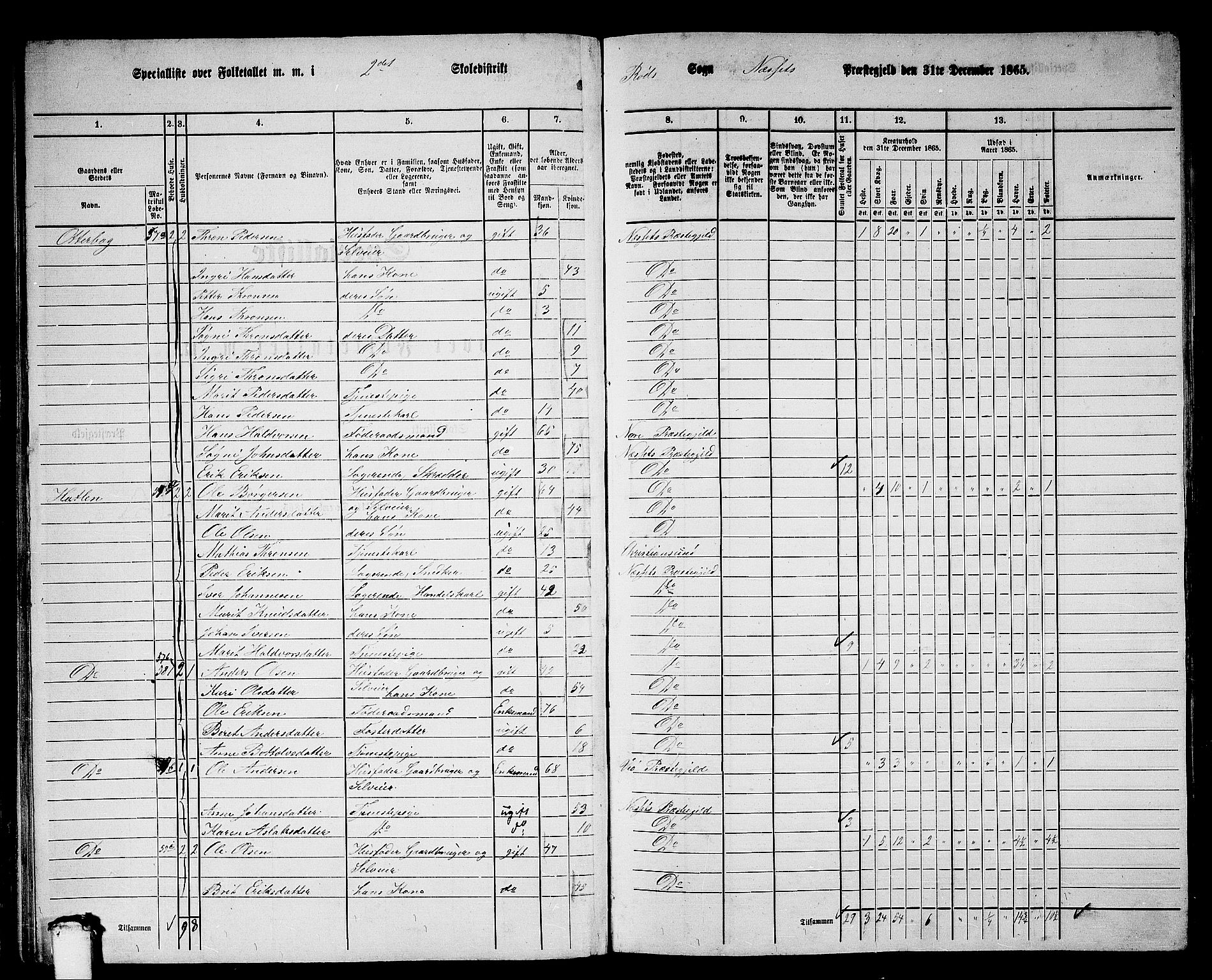 RA, 1865 census for Nesset, 1865, p. 46