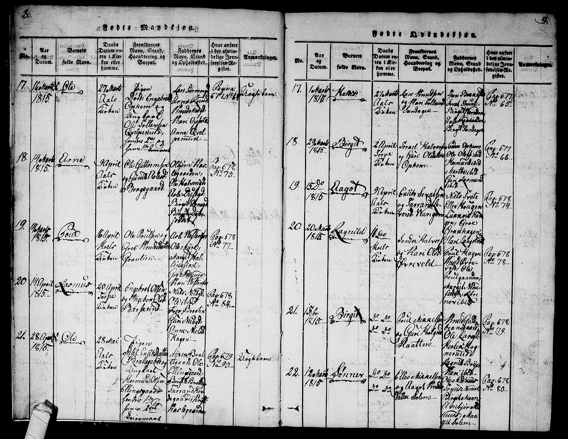 Ål kirkebøker, AV/SAKO-A-249/G/Ga/L0001: Parish register (copy) no. 1, 1815-1829, p. 8-9