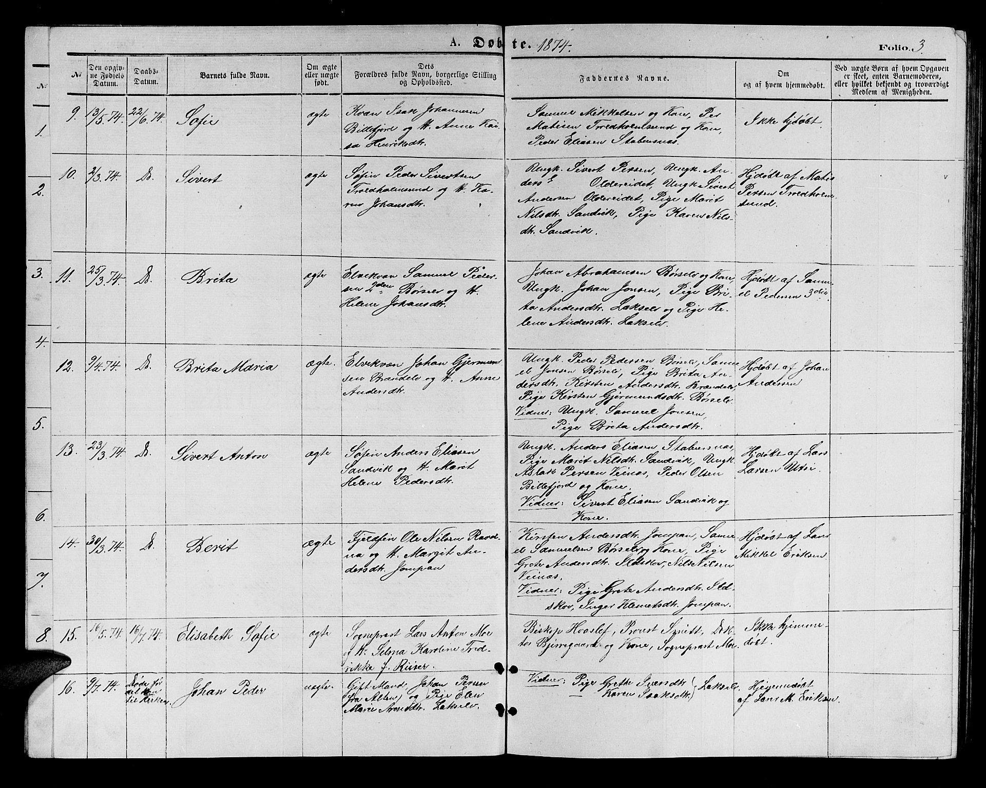 Kistrand/Porsanger sokneprestembete, AV/SATØ-S-1351/H/Hb/L0003.klokk: Parish register (copy) no. 3, 1874-1885, p. 3