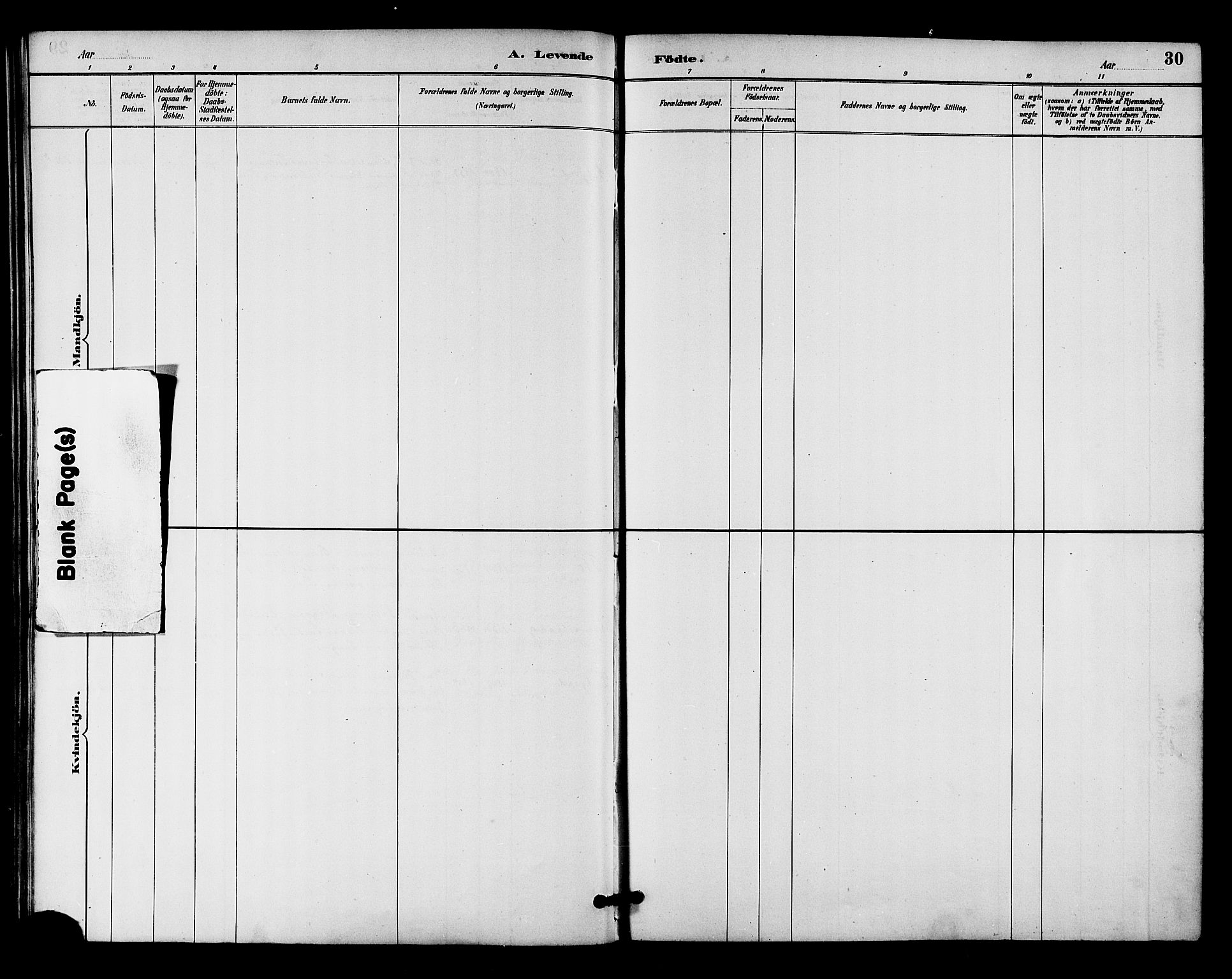 Ministerialprotokoller, klokkerbøker og fødselsregistre - Nordland, AV/SAT-A-1459/894/L1355: Parish register (official) no. 894A01, 1885-1896, p. 30