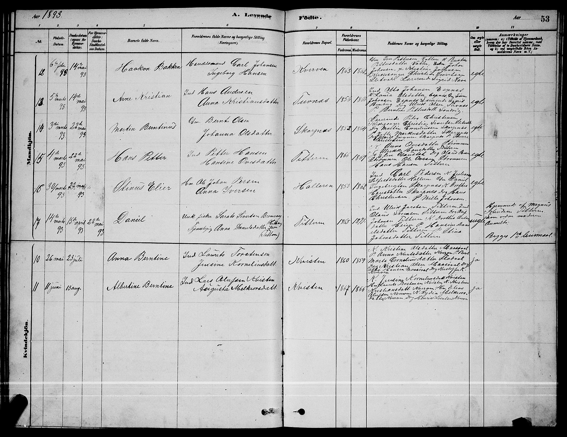 Ministerialprotokoller, klokkerbøker og fødselsregistre - Sør-Trøndelag, AV/SAT-A-1456/641/L0597: Parish register (copy) no. 641C01, 1878-1893, p. 53