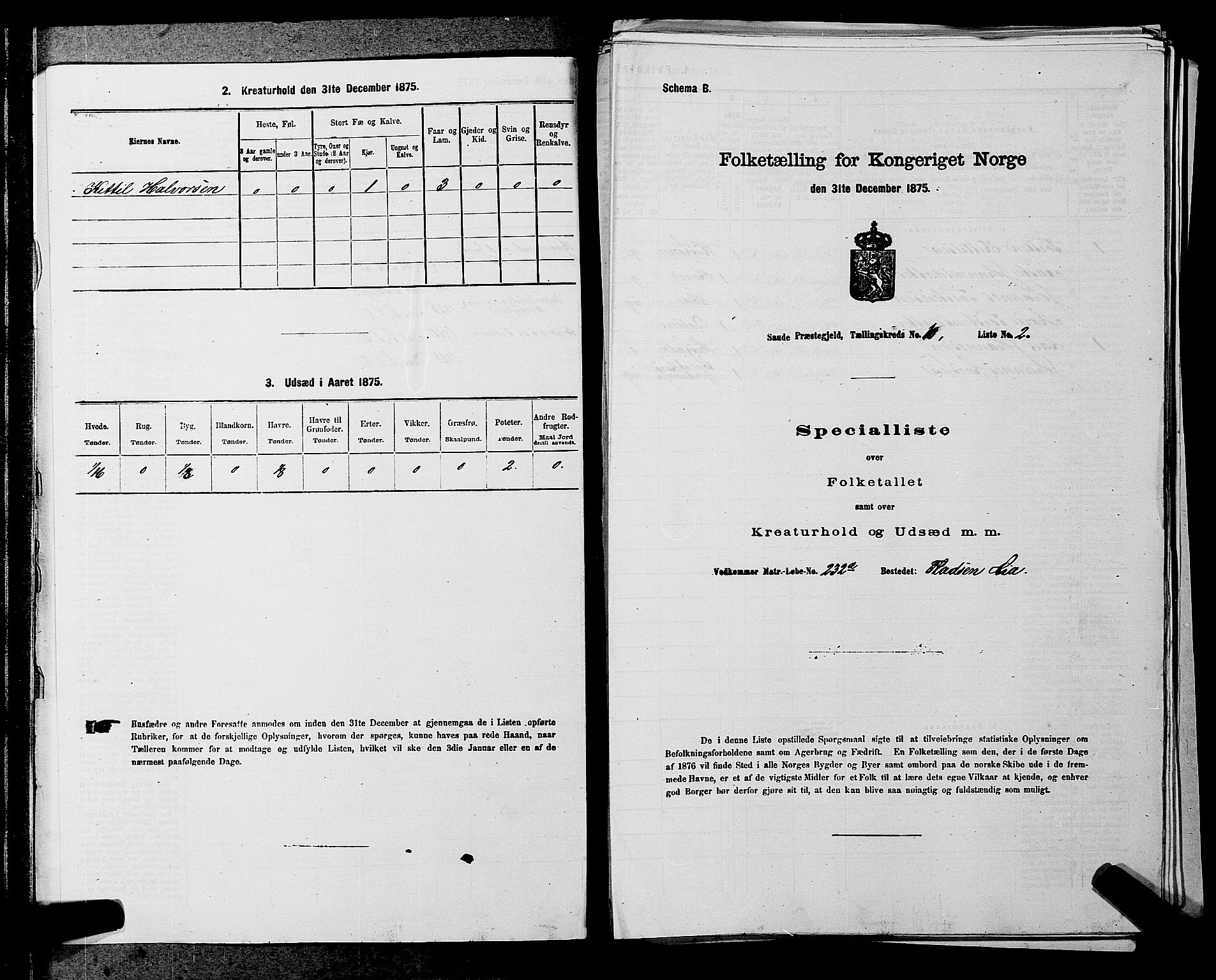 SAKO, 1875 census for 0822P Sauherad, 1875, p. 1175