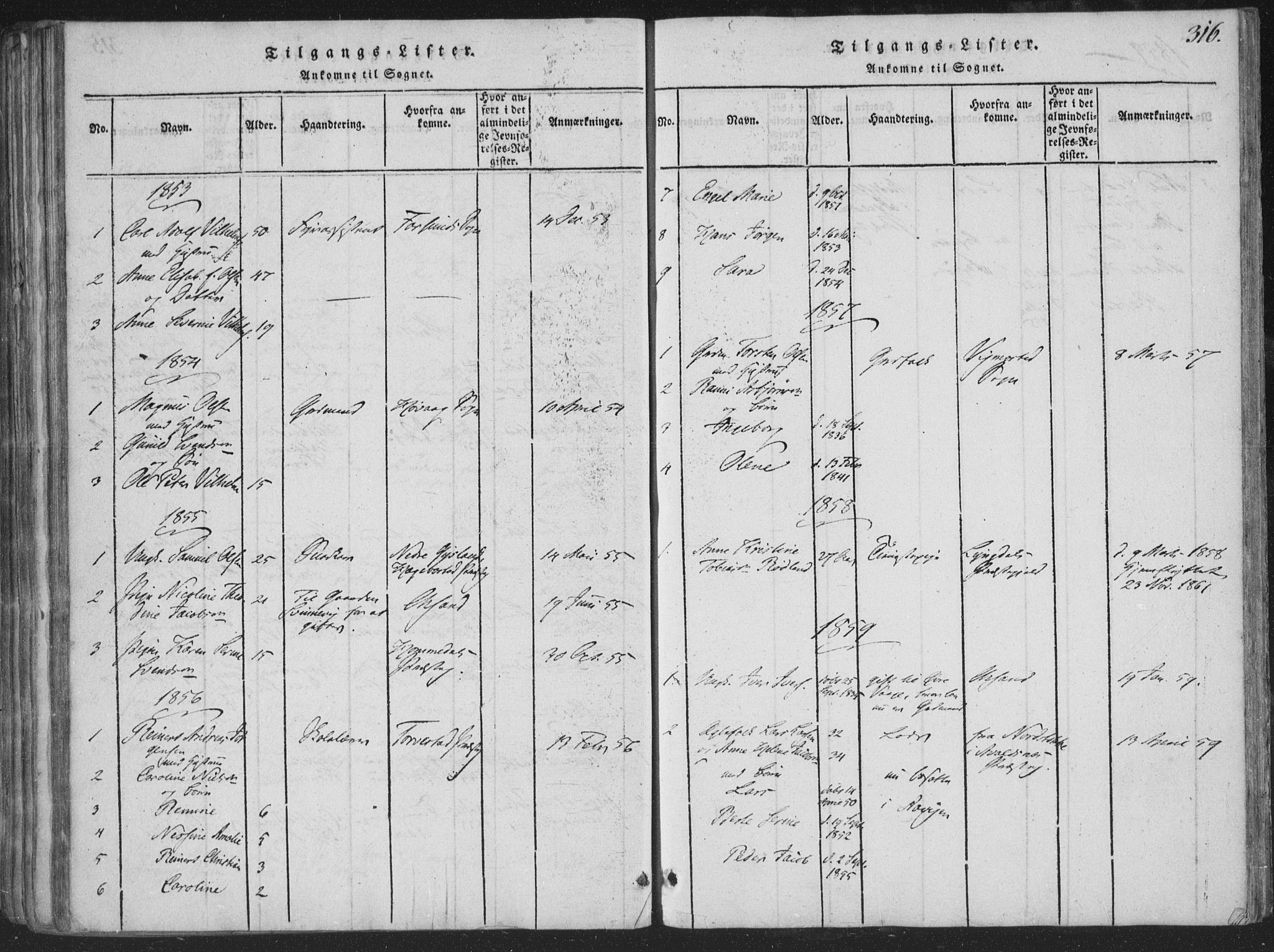 Sør-Audnedal sokneprestkontor, SAK/1111-0039/F/Fa/Faa/L0001: Parish register (official) no. A 1, 1816-1848, p. 316