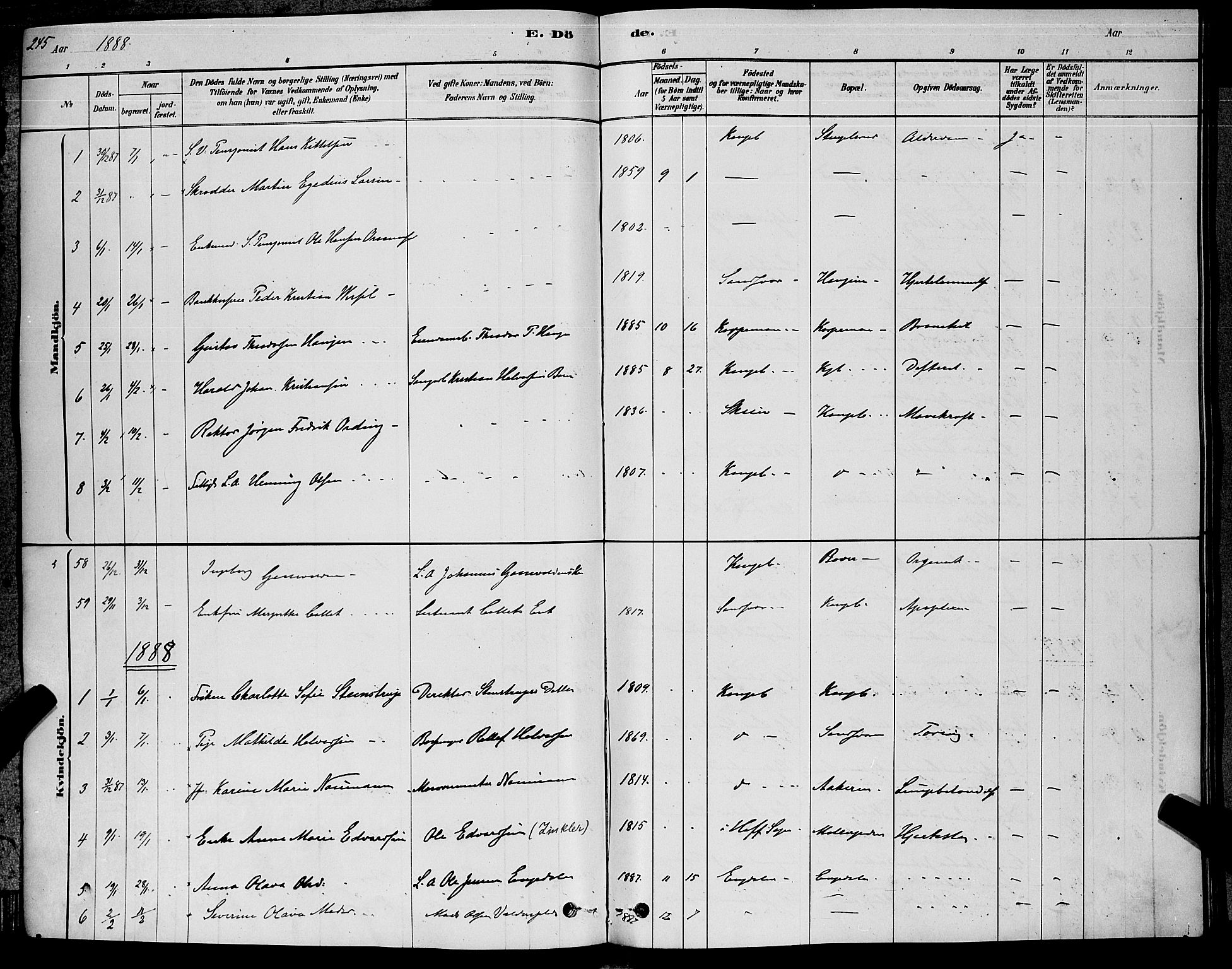 Kongsberg kirkebøker, SAKO/A-22/G/Ga/L0005: Parish register (copy) no. 5, 1878-1889, p. 245