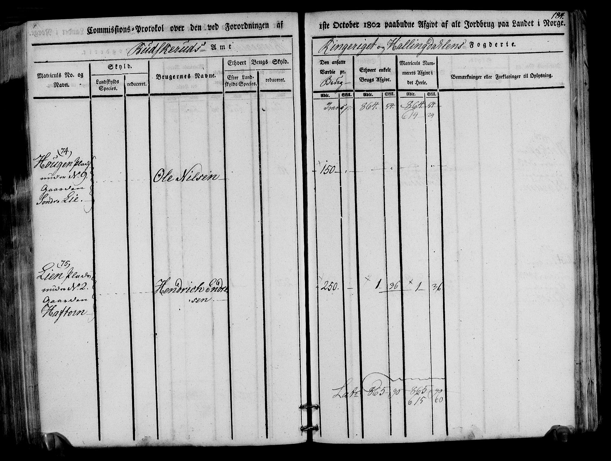 Rentekammeret inntil 1814, Realistisk ordnet avdeling, AV/RA-EA-4070/N/Ne/Nea/L0047: Ringerike og Hallingdal fogderi. Kommisjonsprotokoll for Nes prestegjeld, 1803, p. 187