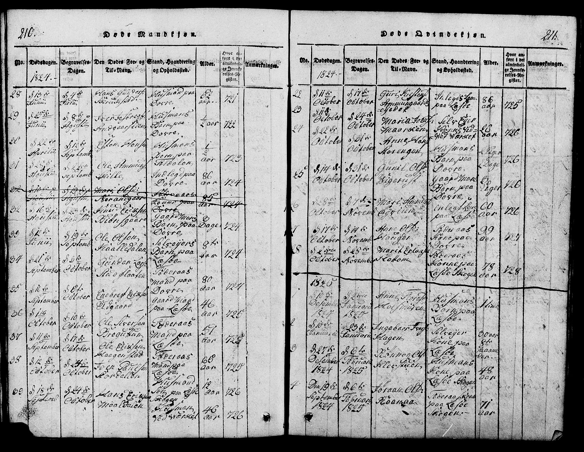 Lesja prestekontor, SAH/PREST-068/H/Ha/Hab/L0001: Parish register (copy) no. 1, 1820-1831, p. 210-211