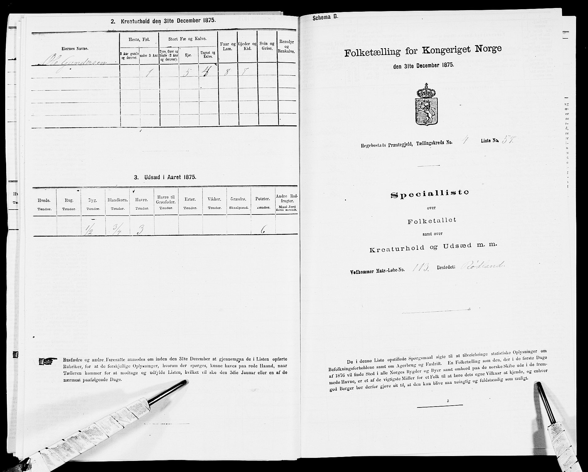 SAK, 1875 census for 1034P Hægebostad, 1875, p. 461