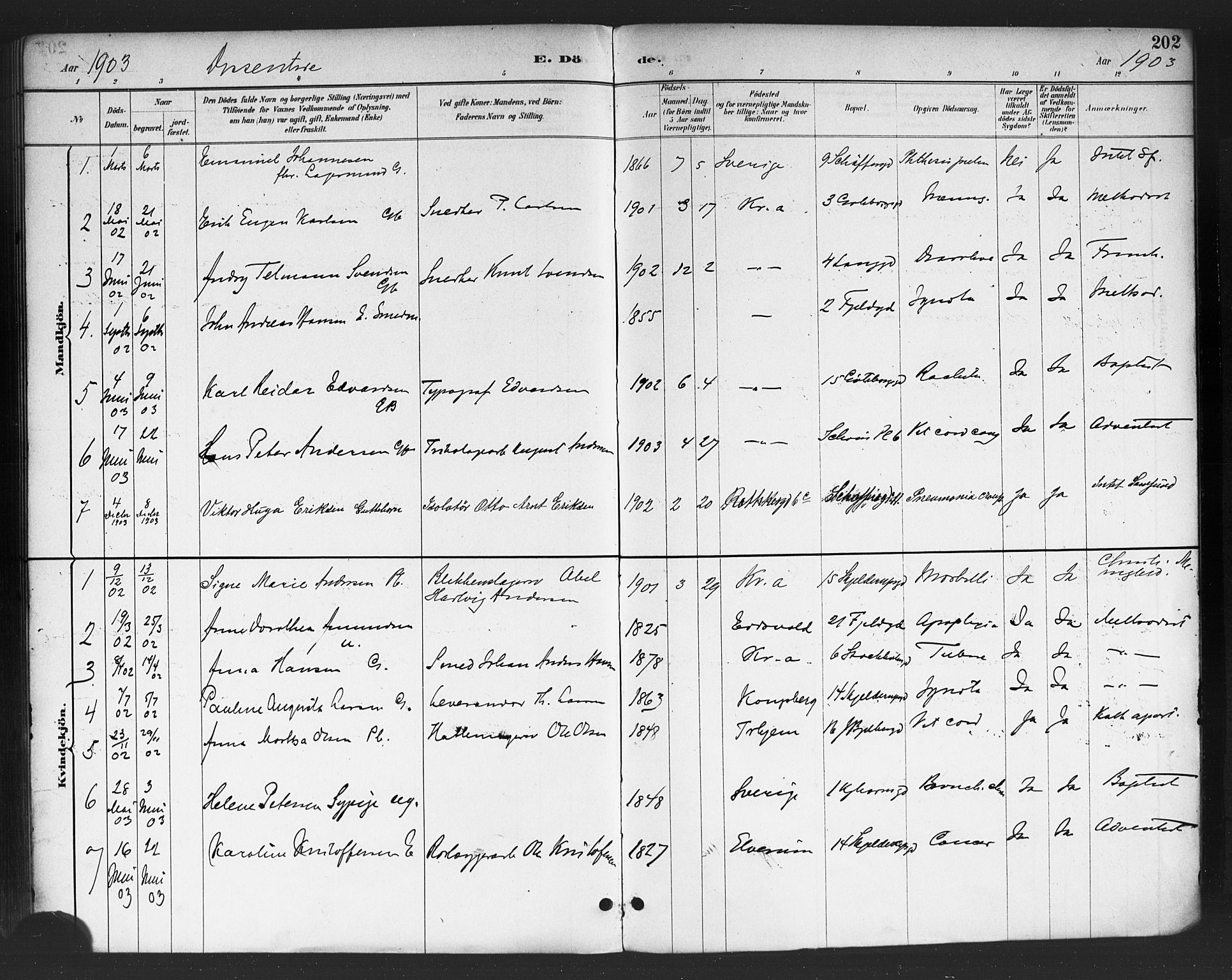 Petrus prestekontor Kirkebøker, AV/SAO-A-10872/F/Fa/L0003: Parish register (official) no. 3, 1885-1903, p. 202