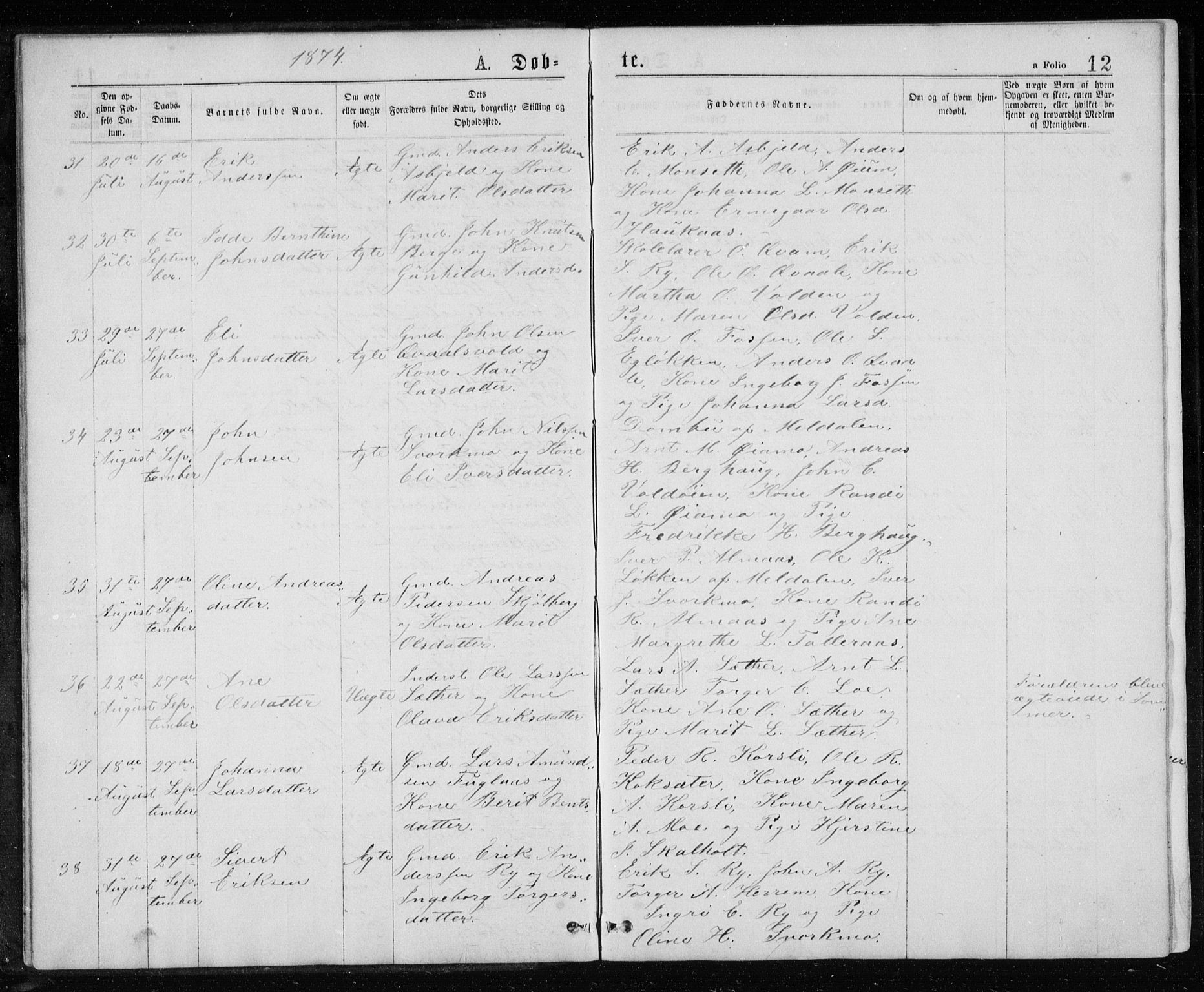 Ministerialprotokoller, klokkerbøker og fødselsregistre - Sør-Trøndelag, SAT/A-1456/671/L0843: Parish register (copy) no. 671C02, 1873-1892, p. 12