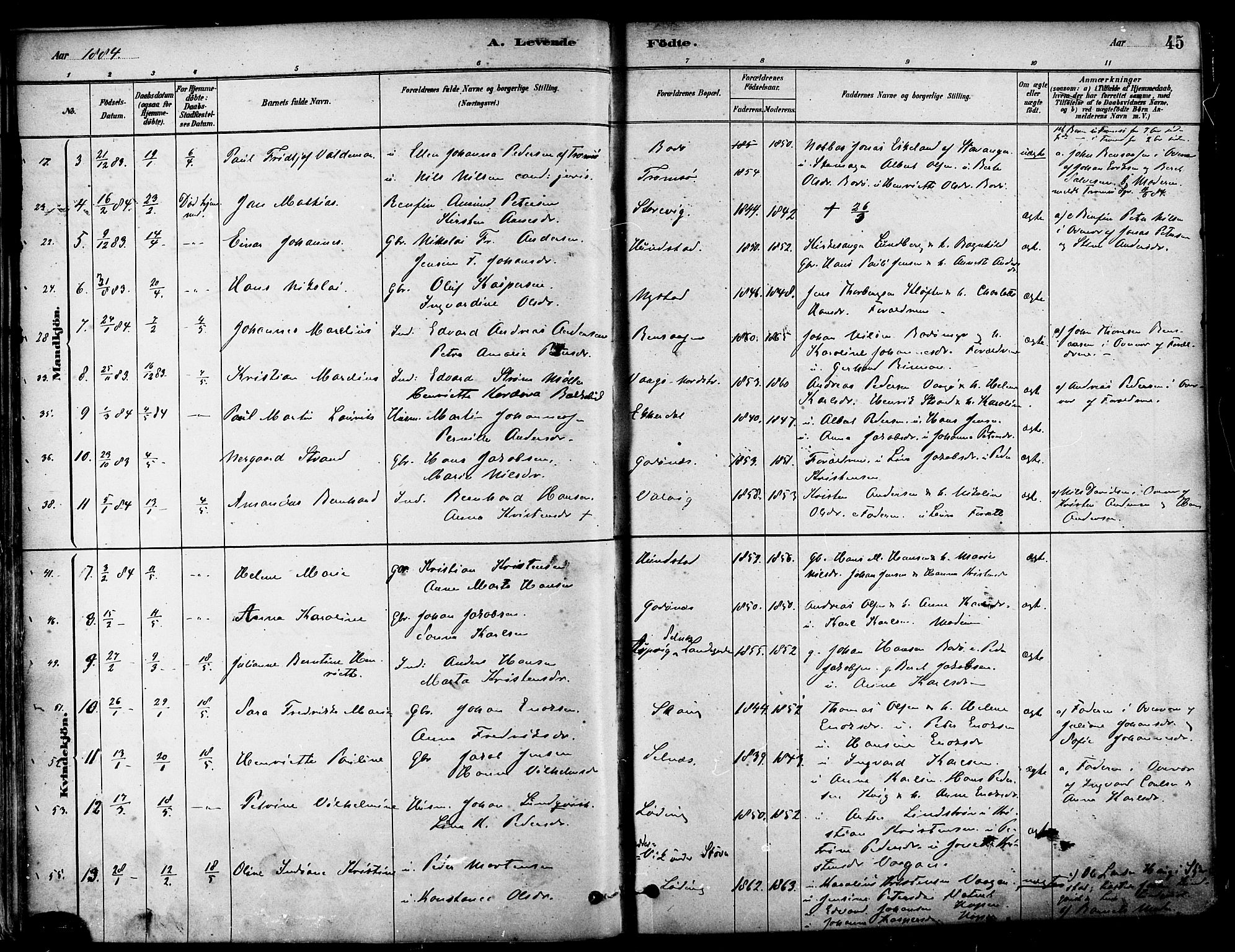 Ministerialprotokoller, klokkerbøker og fødselsregistre - Nordland, SAT/A-1459/802/L0054: Parish register (official) no. 802A01, 1879-1893, p. 45