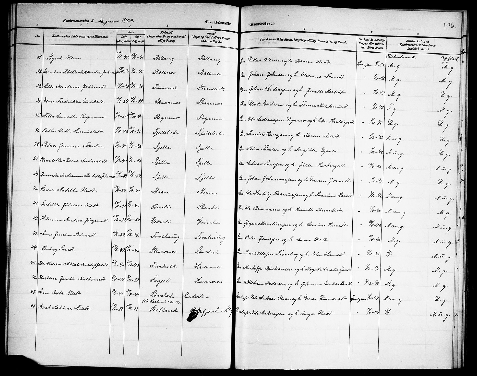 Ministerialprotokoller, klokkerbøker og fødselsregistre - Nordland, SAT/A-1459/863/L0915: Parish register (copy) no. 863C05, 1898-1907, p. 176