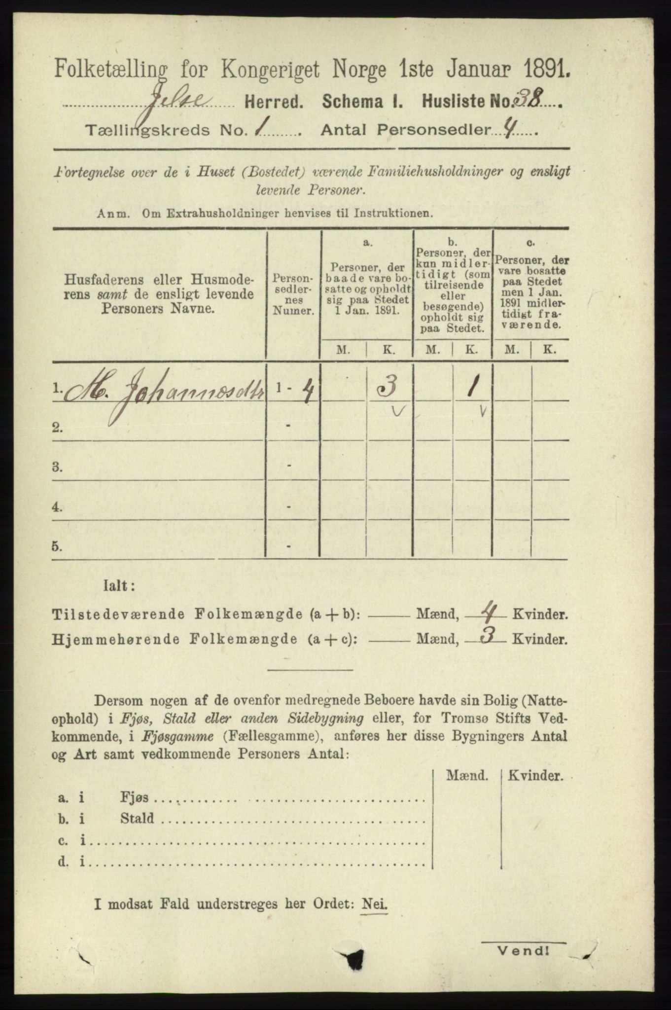 RA, 1891 census for 1138 Jelsa, 1891, p. 67